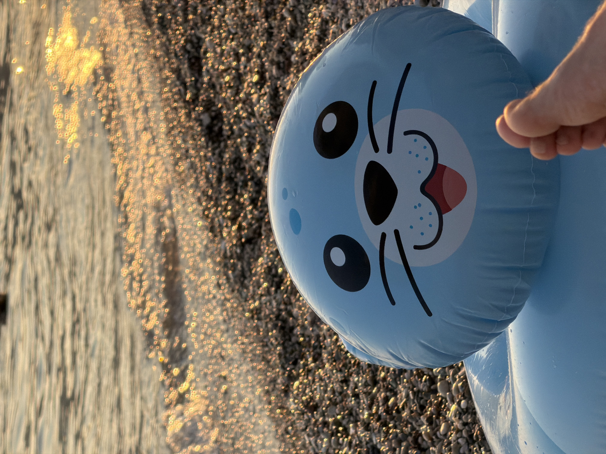An inflatable blue seal toy lies on a pebble beach in Budva, Montenegro, with the Adriatic Sea in the background. The sun is setting, casting a golden glow on the water and the pebbles. A person's foot is visible in the lower right corner of the image. The seal toy is blue with a cartoonish face, featuring black eyes, a nose, a mouth with a tongue sticking out, and whiskers. The water has small waves gently lapping the shore, and the sunlight reflects off the surface, creating a shimmering effect. The pebbles on the beach are various shades of grey, brown, and white. The sky is not visible in the frame.