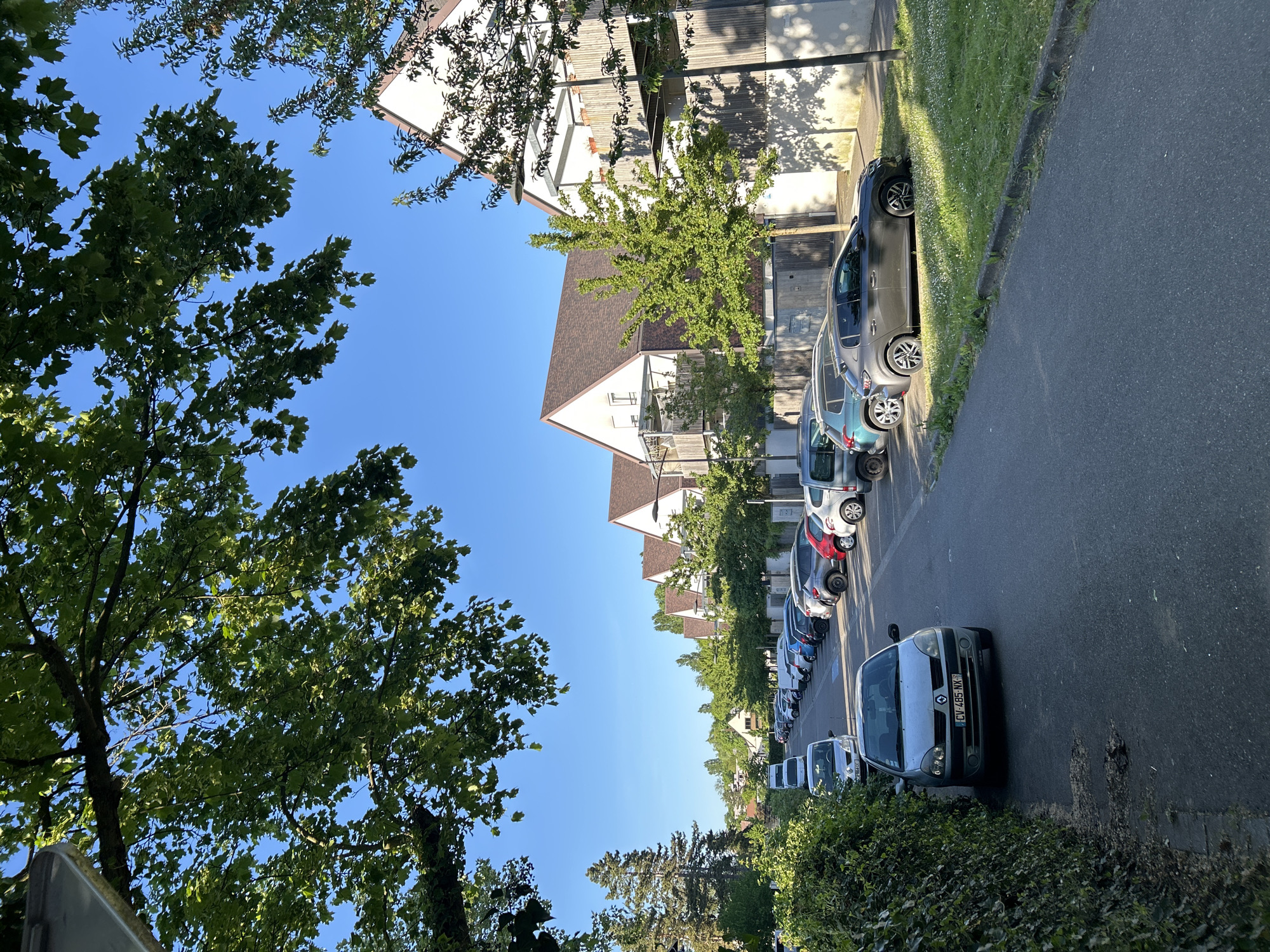 The image presents a sunlit residential street in what appears to be a European town, likely Strasbourg, France. The scene is dominated by a clear, bright blue sky that fills the upper portion of the frame.
On the left, large, leafy green trees with broad leaves, possibly maple, frame the view, casting dappled shadows. A row of multi-story residential buildings with distinctive brown, gabled roofs and light-colored facades lines the street, stretching into the background. Many of these buildings feature balconies.
Along the right side of the frame, a street runs parallel to the buildings. Numerous cars are parked bumper-to-bumper along the curb. The street surface is asphalt, and a narrow strip of green grass, dotted with small white flowers, separates the road from the buildings in certain sections. Shadows cast by the trees and buildings are long and distinct, suggesting either morning or late afternoon sunlight. In the foreground on the right, a silver Renault Clio is prominently parked, displaying a French license plate with the text "CV-495-NK". Hedges with dense green foliage line the very bottom right edge of the image. The overall impression is a peaceful, everyday street scene under bright, clear weather. No specific activity or people are visible.