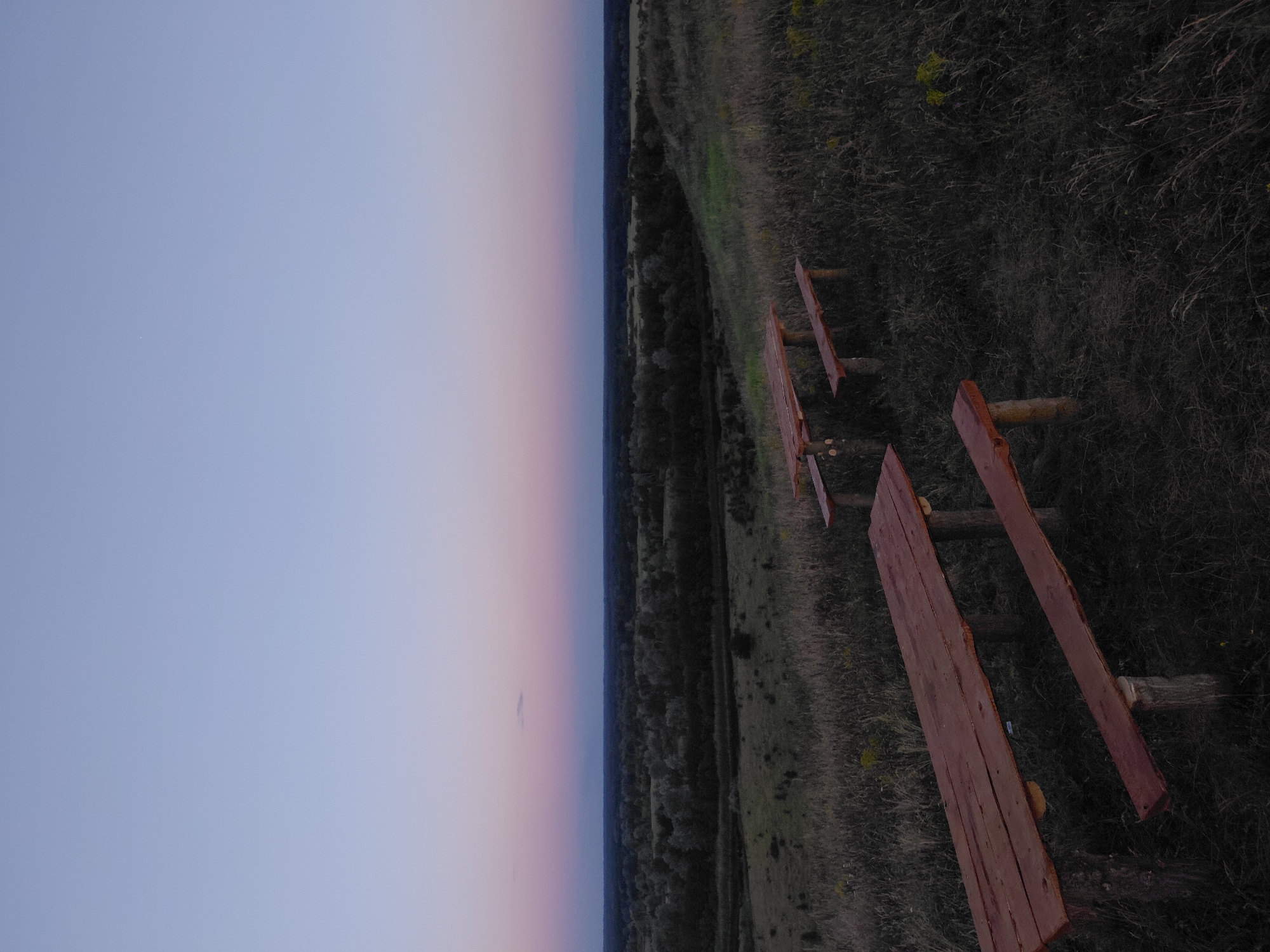 An outdoor scene features a landscape with a wooden picnic table and benches in the foreground. The sky is a gradient of soft blues and pinks, indicating twilight or dawn. The ground is covered in dry grass and foliage, with a dark, dense forest visible in the middle ground. A body of water or a dark path runs through the forest. The overall impression is one of a serene, natural setting.