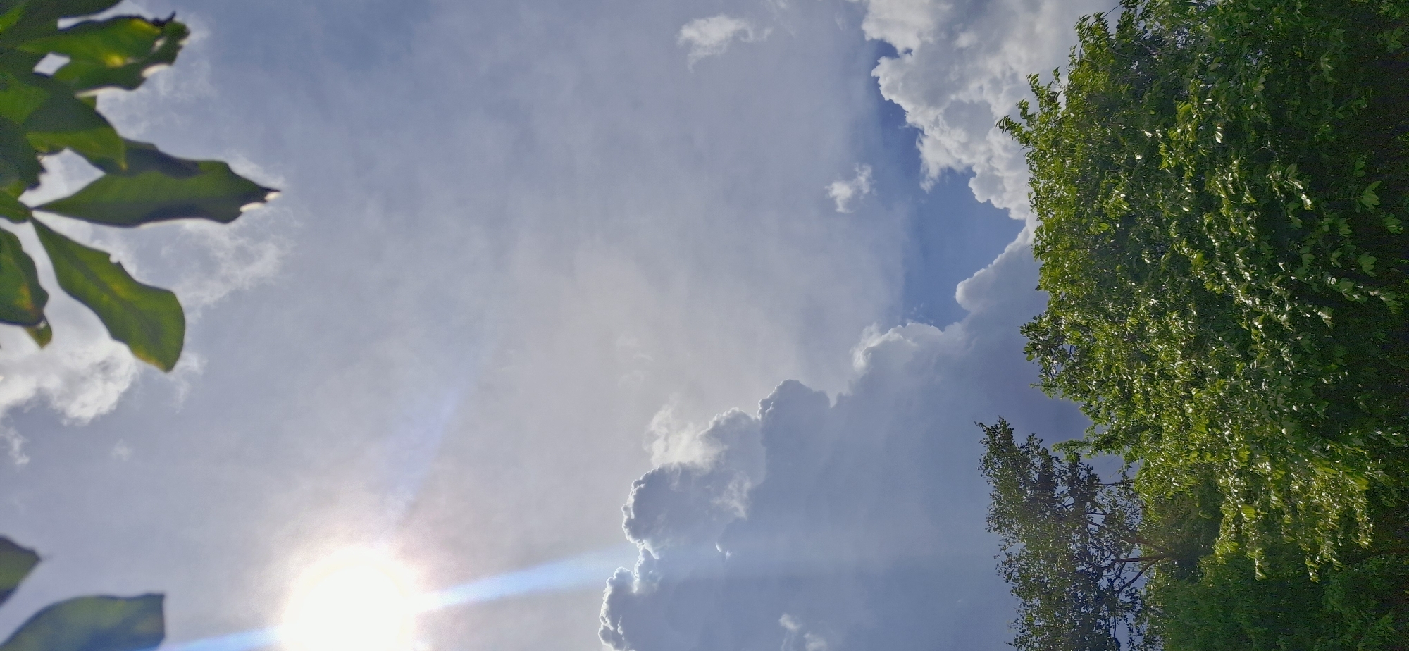 In Vallecito, Venezuela, a photograph captures a vibrant sky with dramatic clouds and a bright sunbeam. Lush green trees dominate the foreground, their leaves catching the sunlight. The sky is a canvas of white, puffy clouds interspersed with patches of bright blue, creating a dynamic contrast. A strong sunbeam cuts through the atmosphere from the upper left, illuminating the scene with a bright, ethereal glow. The trees, full and verdant, suggest a healthy, natural environment.