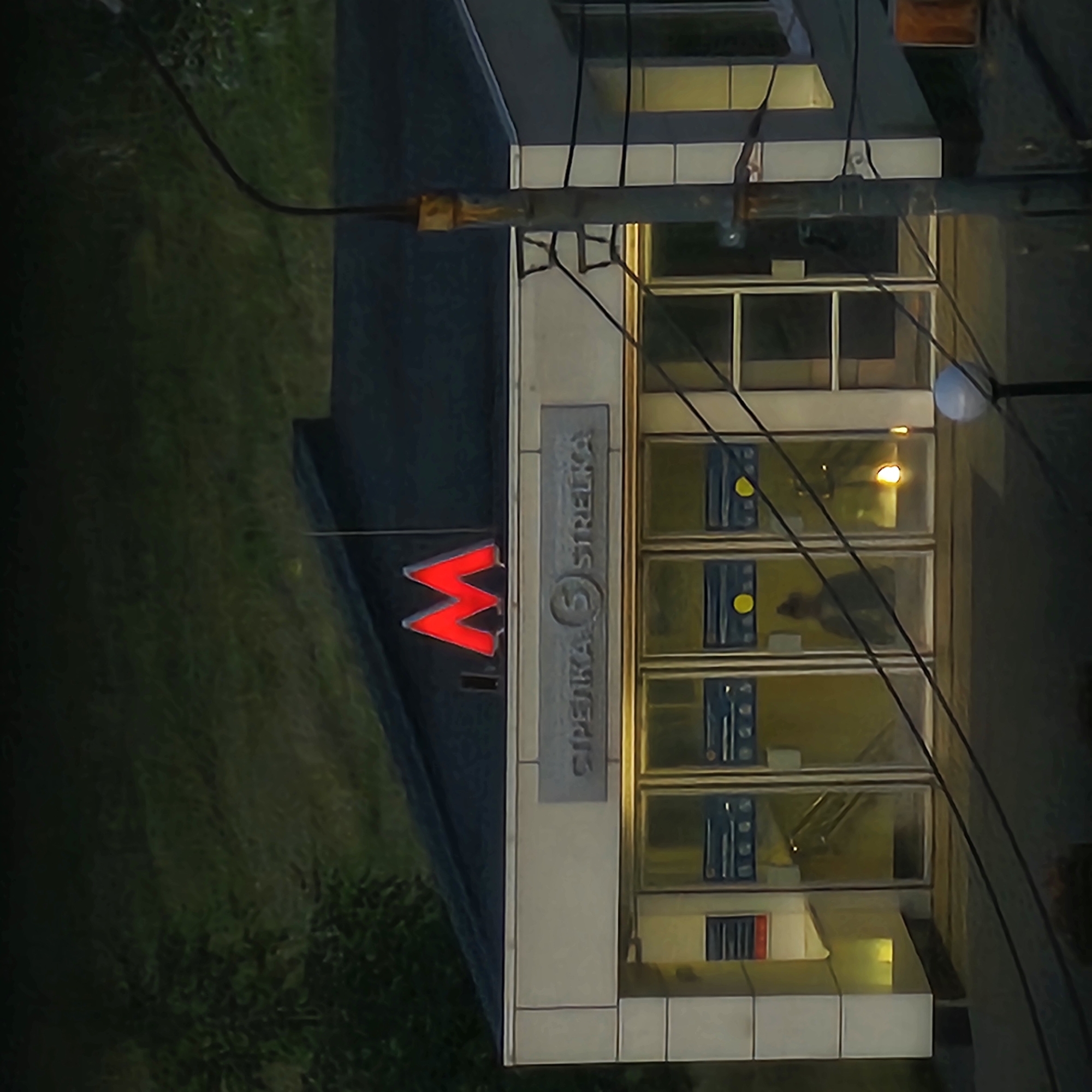 The image shows the entrance to the Strelka metro station in Nizhny Novgorod, Russia, at dusk or night. A prominent red "M" logo, a common symbol for metro stations, is lit up on the dark roof of the station building. Below the logo, a sign reads "СТРЕ́ЛКА" (Strelka) in Cyrillic and "STRELKA" in Latin script, with a circular symbol in between. The building has a light-colored facade with glass doors leading inside, where escalators are visible. A silhouette of a person can be seen through the glass. Electrical wires run diagonally across the scene, and a lamppost with a rounded globe light is positioned to the right of the entrance. The background consists of dark, out-of-focus greenery, suggesting trees or bushes. The overall lighting suggests it is either early morning or evening.