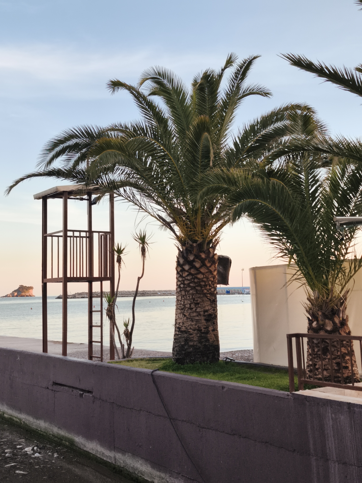 The image shows a coastal scene in Unknown, Unknown, featuring two palm trees of different sizes as prominent subjects. Between the two trees is a tall, metal lifeguard observation tower near the beach and water, suggesting a recreational area. The background includes a serene body of water with a small, rocky island visible in the distance, under a pastel-colored sky that suggests either sunrise or sunset. A low, gray concrete wall separates the foreground from the beach area, with some vegetation growing between the wall and the palm trees. A portion of a white building or structure is partially visible behind the smaller palm tree. The overall impression is of a tranquil beach scene with characteristic tropical vegetation and lifeguard facilities.