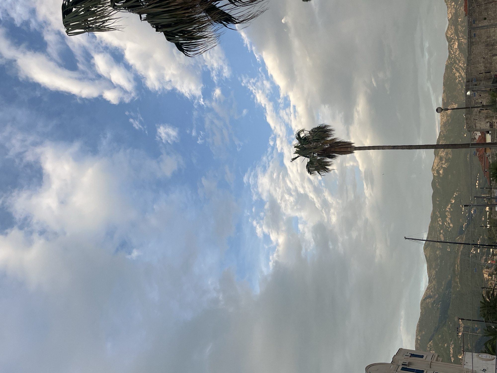 A low-angle, medium shot depicts a sky dominated by clouds, with blue patches interspersed. The top left of the frame features a palm tree frond. A tall, solitary palm tree extends upward from the lower right of the frame, contrasting against the cloudy backdrop. In the background, a mountain range is partially visible, abutting a city structure on the right. Utility poles and wires punctuate the scene. A building with blue-trimmed windows is visible in the lower right corner. The scene is located in the city of Budva, Montenegro.