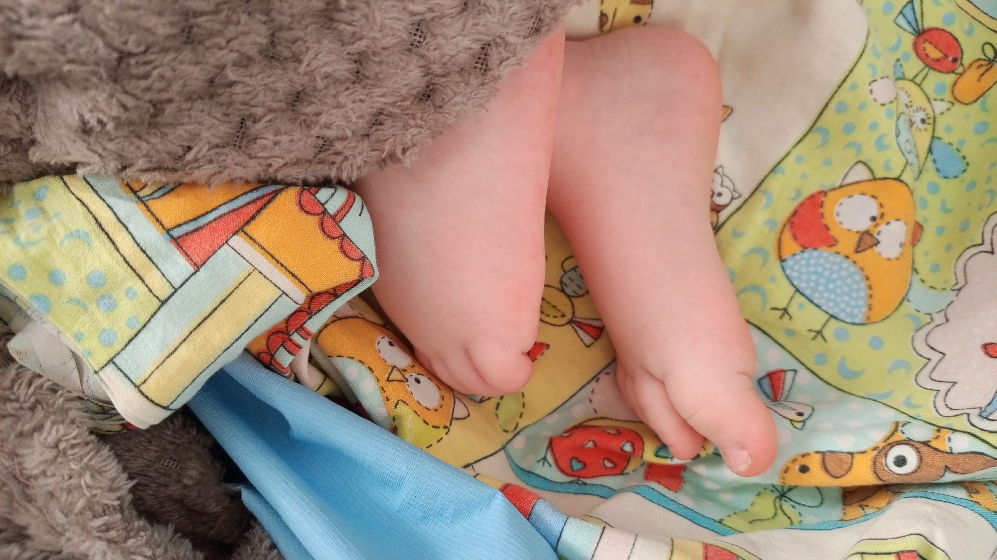 The image shows two bare baby feet resting on a colorful patterned blanket featuring cartoon-style birds and other animals. A gray, fluffy blanket or stuffed animal is situated to the left of the feet. Below the feet and blanket, there is a blue fabric layer. The location cannot be confirmed based solely on the image.