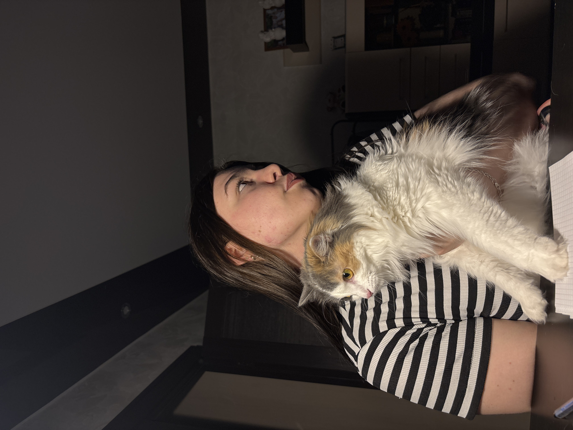 A woman with brown hair is holding a fluffy, multicolored cat in her arms. The woman is wearing a black and white striped shirt. The cat has white, gray, and orange fur. The background appears to be a dimly lit room, with a dark wall and a glimpse of a shelf with objects on it. Based on the image metadata, the location is Perm, Russia.