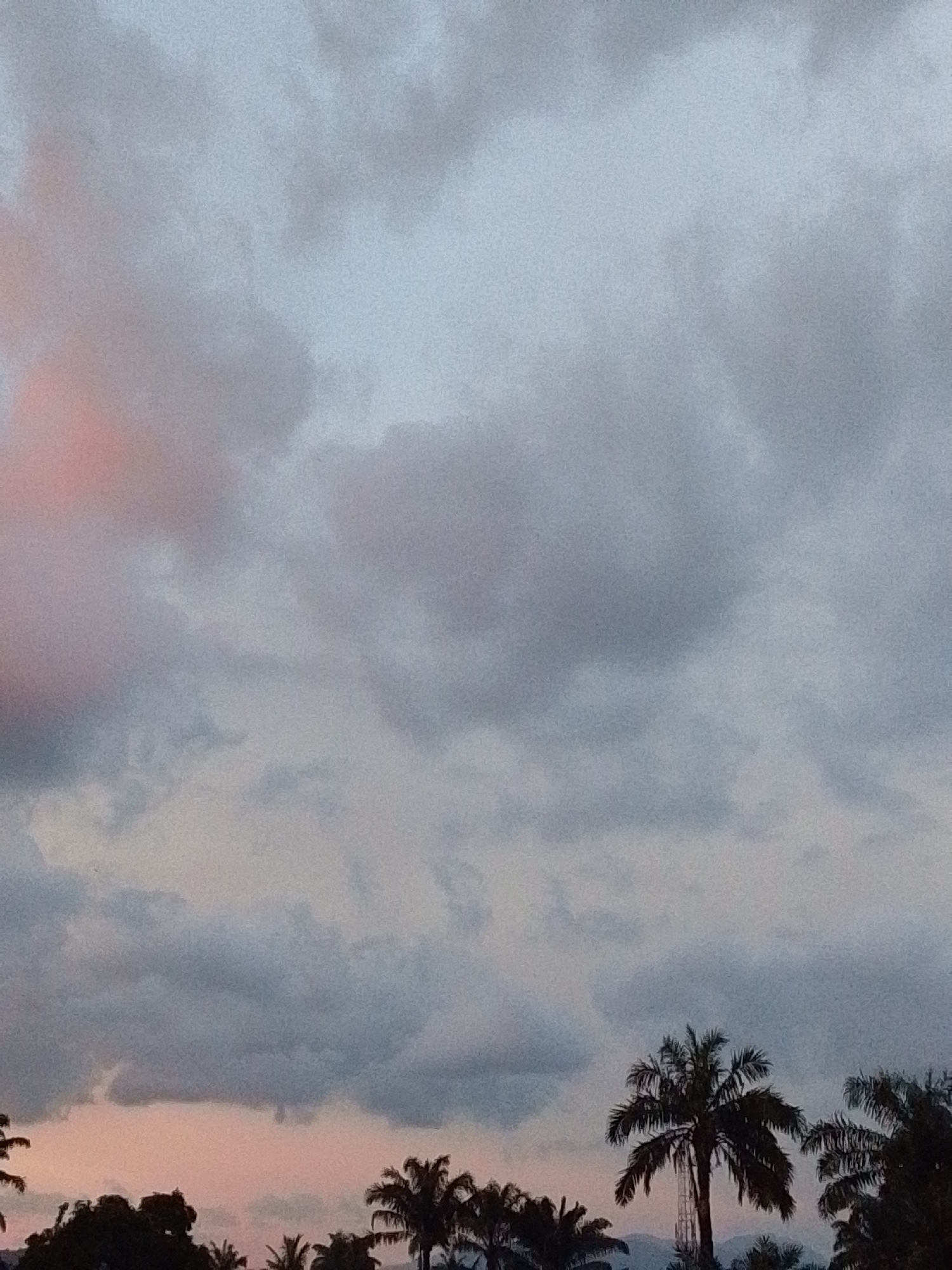 The image captures a twilight sky filled with dramatic clouds. The sky transitions from a pale pink near the horizon to a dusky blue overhead, suggesting either sunrise or sunset. The clouds are varied in texture and color, with some appearing heavy and dark gray, while others are lighter and tinged with pink.
Silhouetted against the colorful sky at the bottom of the frame are the tops of palm trees and other foliage, indicating a tropical or subtropical location. One prominent palm tree in the center has a slender, tall trunk, and its fronds spread out like a fan. The overall scene is serene and evokes a sense of natural beauty. The weather appears to be partly cloudy, with the clouds suggesting a possibility of rain or a recent shower.
No people or distinct objects are visible besides the natural elements. The location cue of palm trees and the time of day suggest a warm climate, and the setting is likely outdoors, possibly in a rural or semi-rural area of Serti, Nigeria. The emotional tone is peaceful and contemplative, amplified by the muted colors of the twilight sky. There is no visible text in the image.