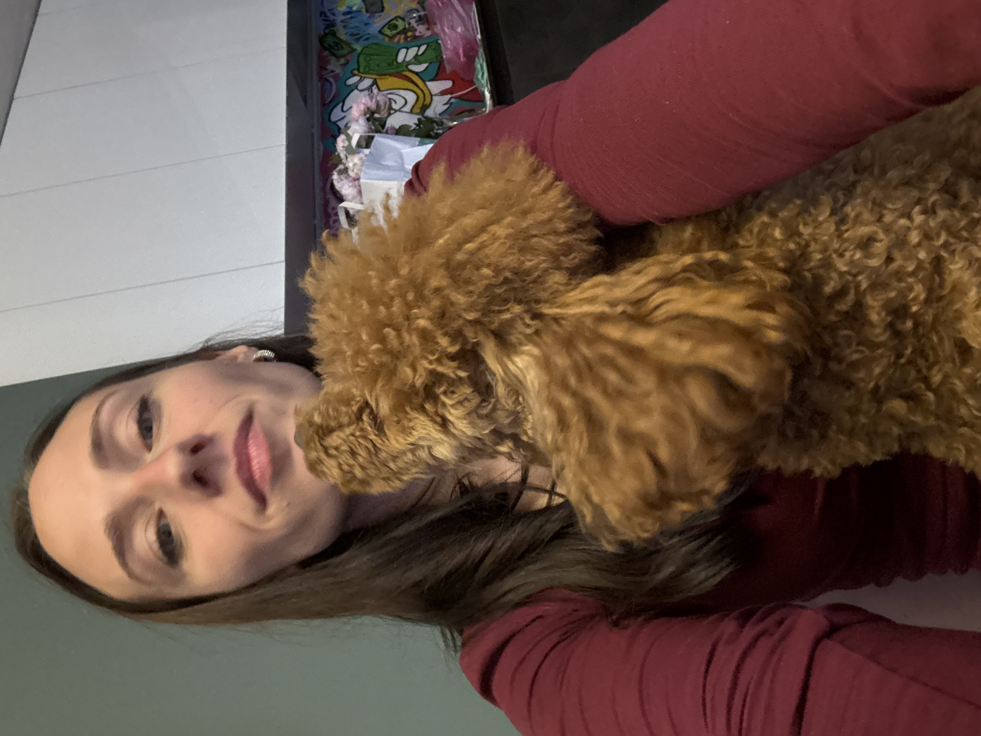 A woman with shoulder-length dark brown hair and fair skin is holding a brown poodle. She is wearing a long-sleeved burgundy shirt. The background is a light grey wall and a colorful graphic design on another object. The location cannot be determined from the image.