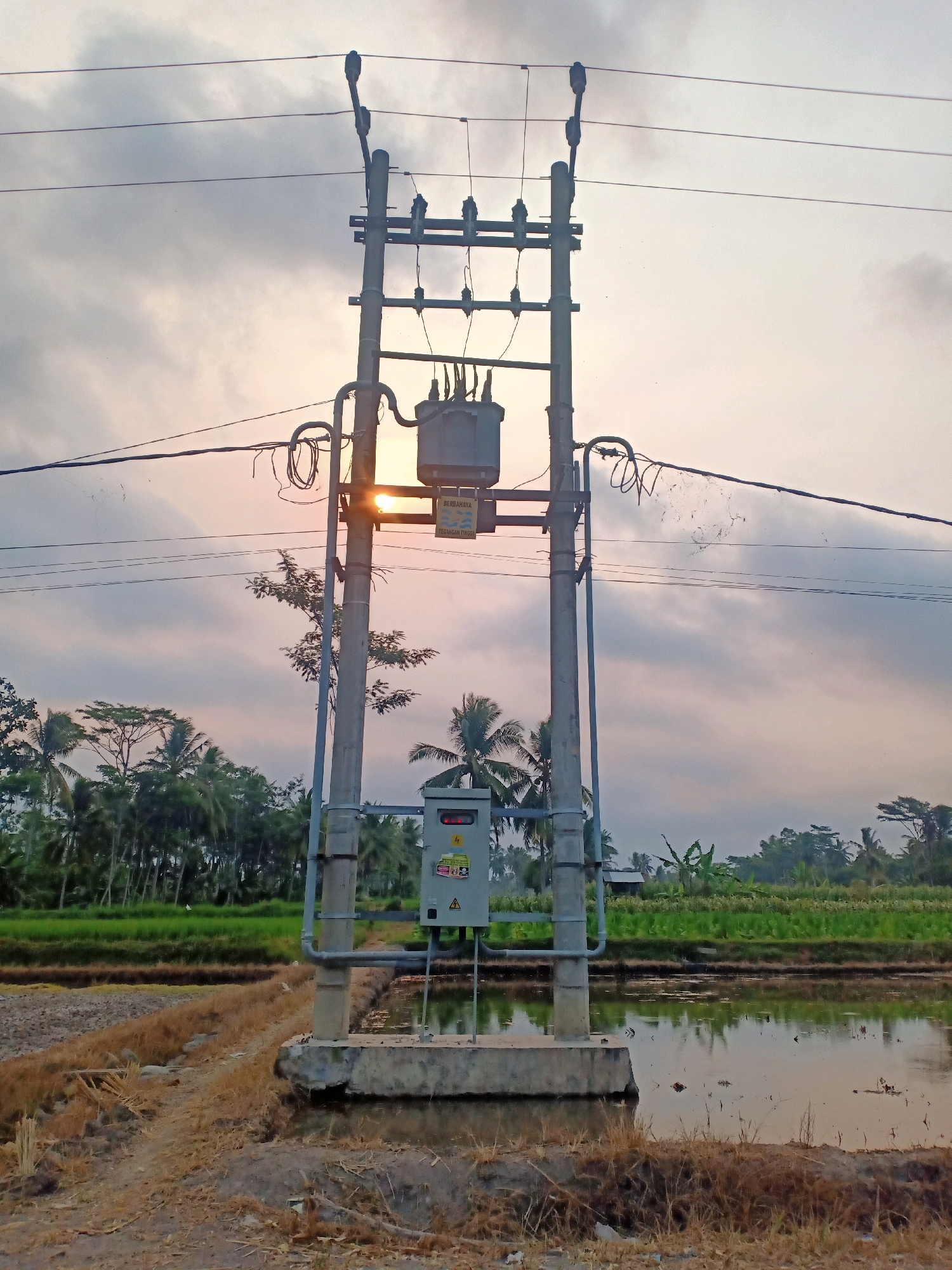 The image captures an outdoor scene featuring an electrical transformer mounted on a concrete pole in a rural or semi-rural setting, possibly a rice paddy field. The transformer is gray and appears to be a significant piece of electrical infrastructure, with wires extending from it and connecting to overhead power lines. Below the transformer, a gray electrical box is attached to the pole, also containing some visible controls or indicators. The pole itself is sturdy and made of concrete.
The environment surrounding the pole is characterized by lush green vegetation, including palm trees and other tropical foliage, suggesting a warm climate. In the foreground, there is a muddy area with water, possibly part of the rice paddy, and dry, brown vegetation or soil. The sky is cloudy, with a warm glow from the setting or rising sun filtering through the clouds, casting a gentle light on the scene. There are no people or animals visible in the image. The overall impression is one of rural utility infrastructure set against a natural landscape at dusk or dawn.