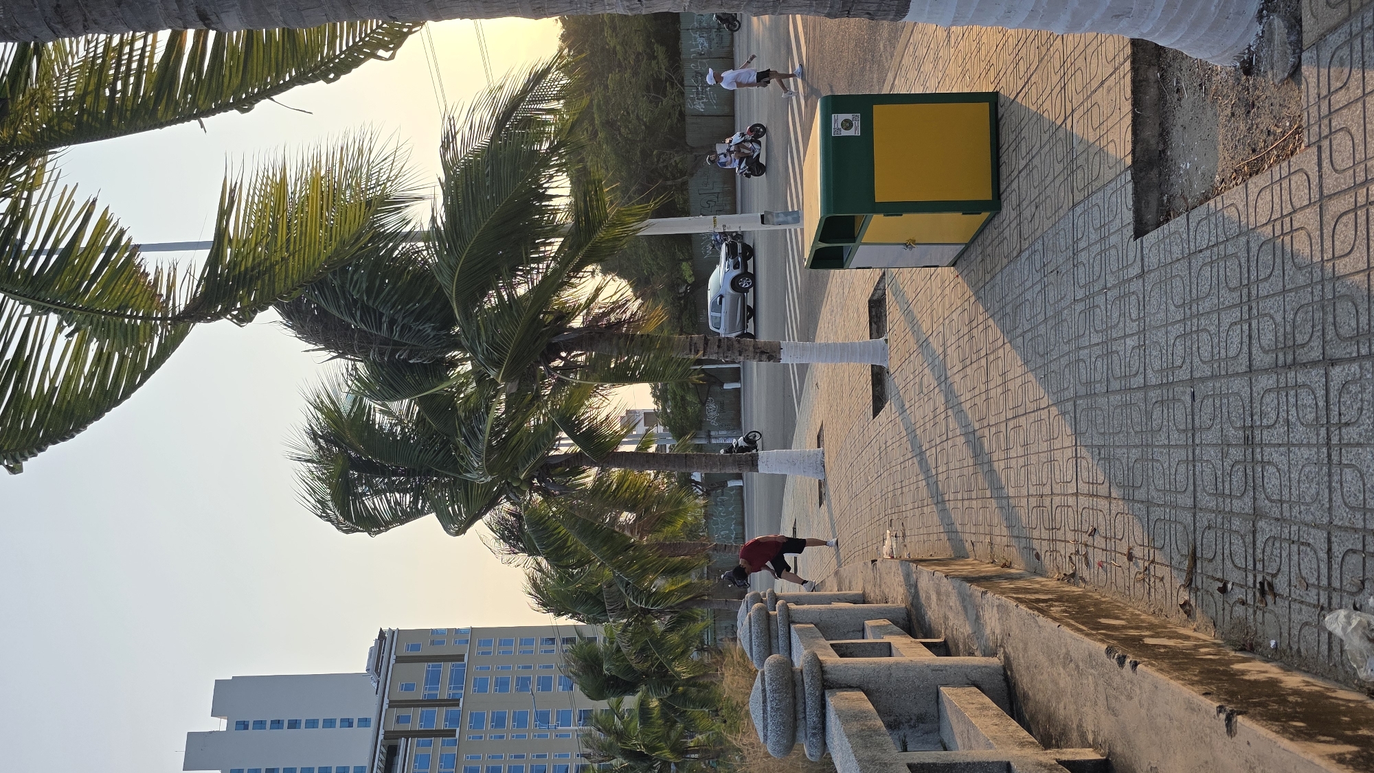 The image presents a vibrant street scene in Bắc Nha Trang, Vietnam, under the warm, low light of either early morning or late afternoon, evidenced by the long shadows stretching across the tiled sidewalk.
In the foreground, a man wearing a red t-shirt and dark shorts is seen bending down next to a series of grey concrete decorative structures or barriers. To his right, a grey and white tiled sidewalk, featuring a recurring square pattern, extends into the distance. This sidewalk leads past a distinctive green and yellow public utility box or trash bin, which has an unreadable logo or text on its green surface.
Adjacent to the sidewalk is a paved road. On the road, a silver pickup truck is visible, and further down, two individuals are riding a scooter. Another man, dressed in a white t-shirt and white cap, walks on the opposite side of the road.
The scene is dominated by numerous tall palm trees with green fronds, several of which have their lower trunks painted white. These trees line the street, creating a tropical atmosphere. In the background, under a bright, clear sky, modern multi-story buildings with numerous windows rise, indicating an urban or coastal setting. The overall image captures a moment of daily life with casual activities amidst the characteristic flora and architecture of Bắc Nha Trang.