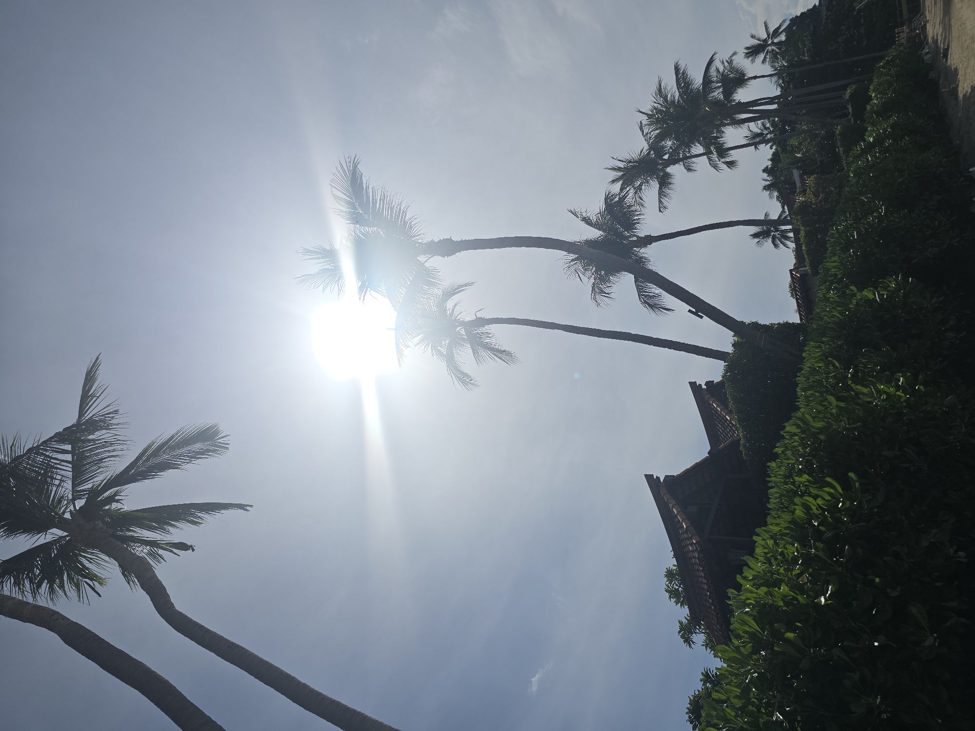 The image shows a bright, sunny day with the sun glinting in the sky, partially obscured by palm trees. In the foreground, there is lush green foliage, and behind it, several buildings with distinctive tiled roofs are visible. A line of palm trees stretches across the middle ground and background, with some taller ones leaning towards the left of the frame. The scene appears to be a resort or residential area, likely on a beach, given the sandy ground visible on the right. The location is identified as Baan Chaweng Noi, Thailand. There are no people visible in the image.