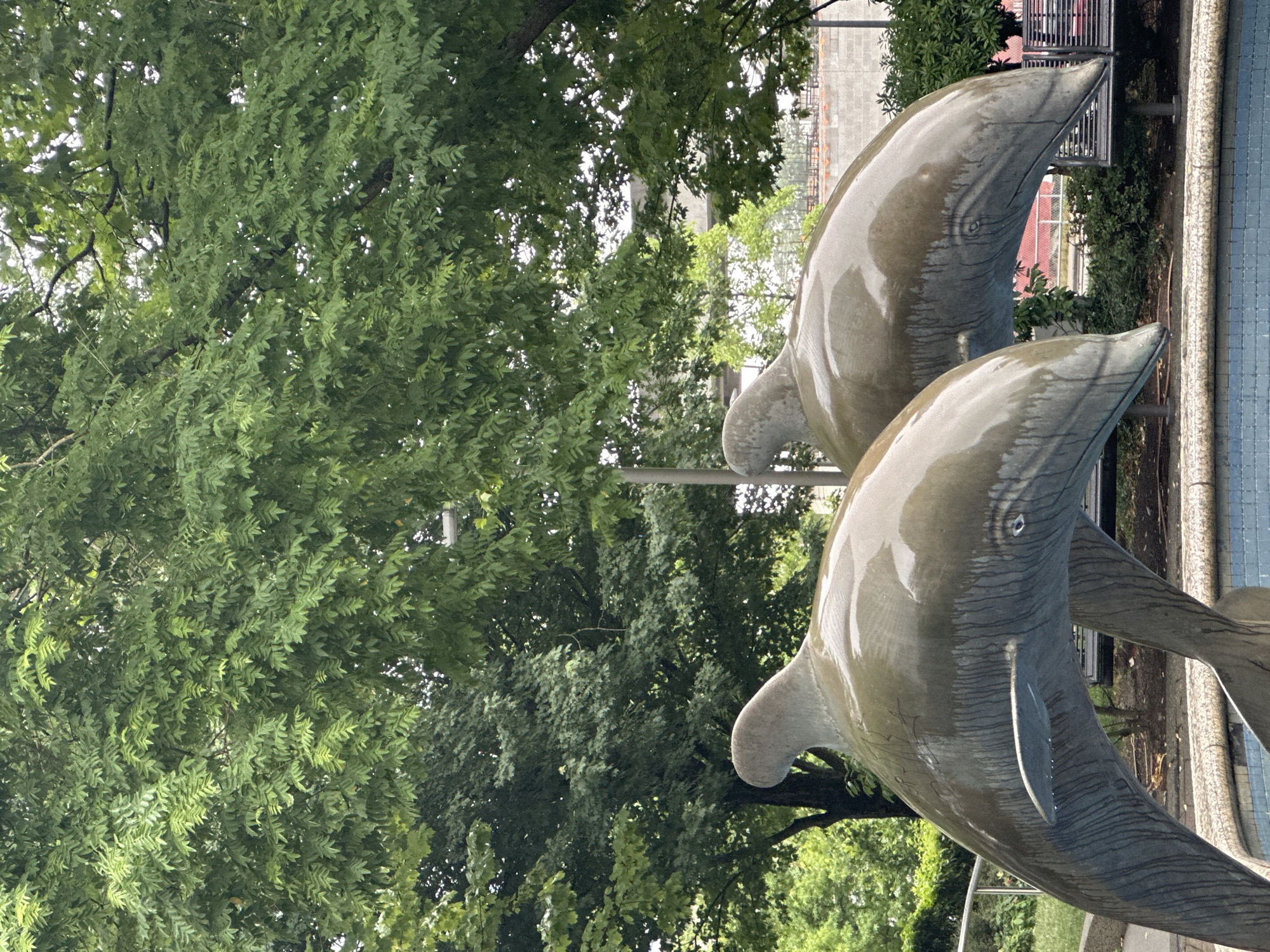 The image depicts a close-up view of two large, glossy dolphin sculptures situated in what appears to be a fountain or water feature, indicated by the blue tiled basin in the foreground. The sculptures are weathered, with streaks of water or dirt running down their surfaces, and they are positioned at an angle, facing towards the right. Lush green trees with dense foliage dominate the background, suggesting an outdoor, possibly park-like setting. Sunlight filters through the leaves, creating a dappled effect. In the mid-ground, there are some structures visible, including what looks like a pedestrian bridge or overpass and some brickwork. A lamppost is partially visible behind the sculptures. The overall atmosphere is tranquil and natural, with the sculptures serving as a focal point. The location is identified as Burnaby, Canada.