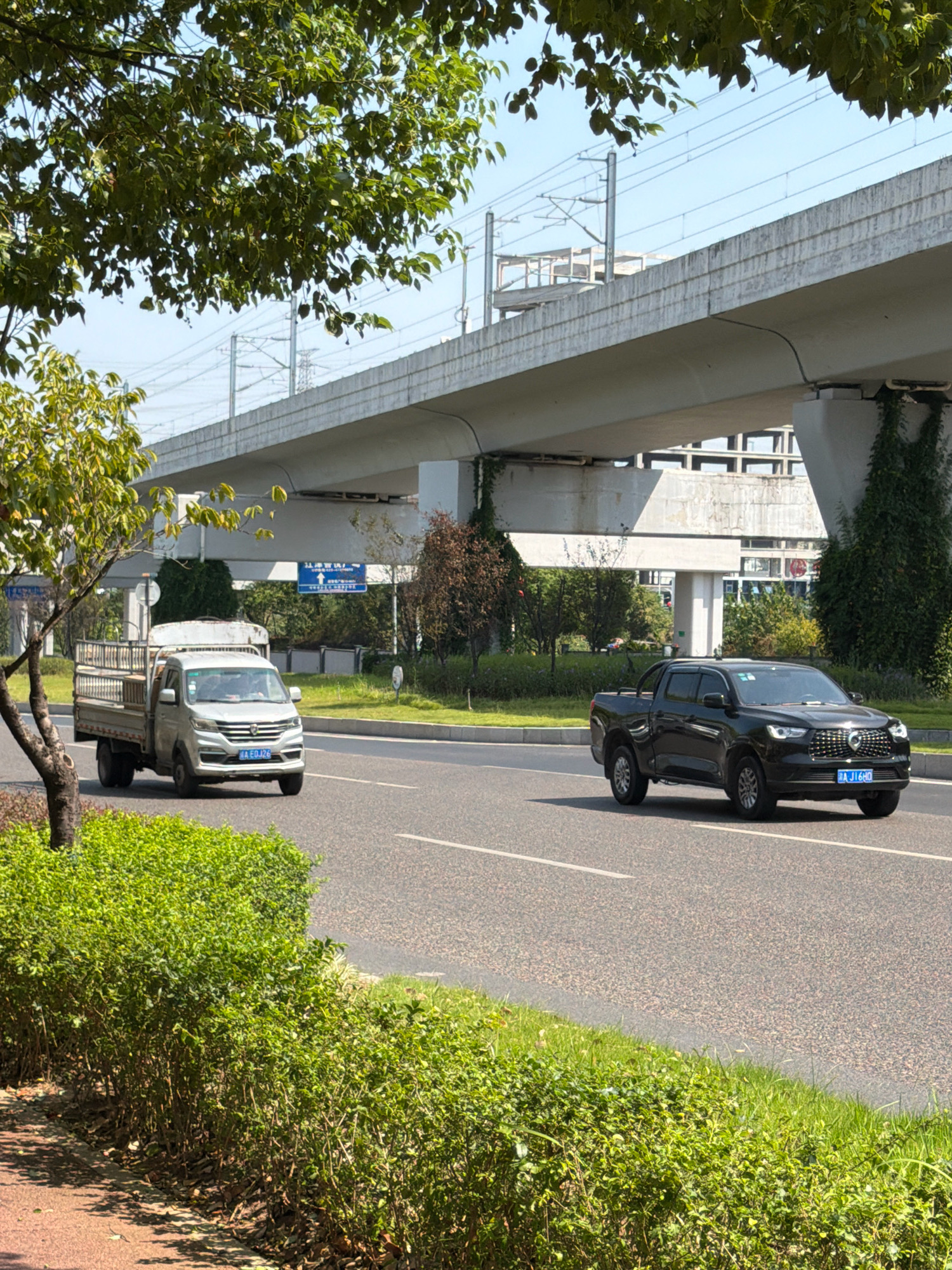 In Jiangjin, China, a sunlit scene unfolds on a multi-lane road under an elevated overpass, likely for transportation infrastructure like a railway or highway. The overpass, constructed from concrete, casts shadows on the road and surrounding greenery. A silver light-duty truck is captured mid-travel on the right lane, its license plate clearly visible. Further down the road, a black pickup truck is also in motion, its license plate also discernible. Lush green bushes line the side of the road, with trees interspersed throughout the landscape. The sky above is a clear, bright blue, indicating fair weather. The overall impression is one of urban infrastructure integrated with nature, with vehicles navigating the everyday flow of traffic.
