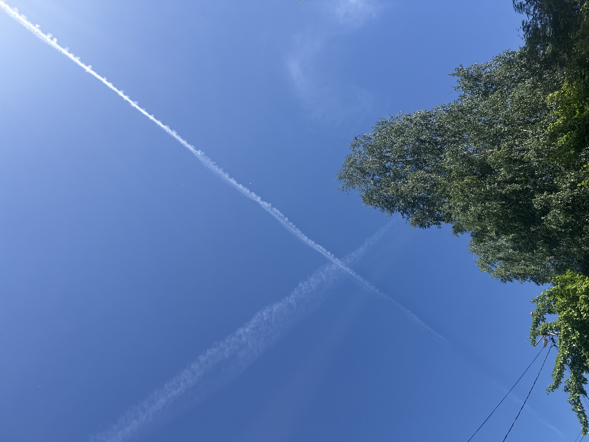 A low-angle shot captures a bright blue sky with two intersecting contrails forming an "X." The tree on the right side of the frame is lush and green. A utility pole with electrical wires is in the bottom right corner. The location is unknown.