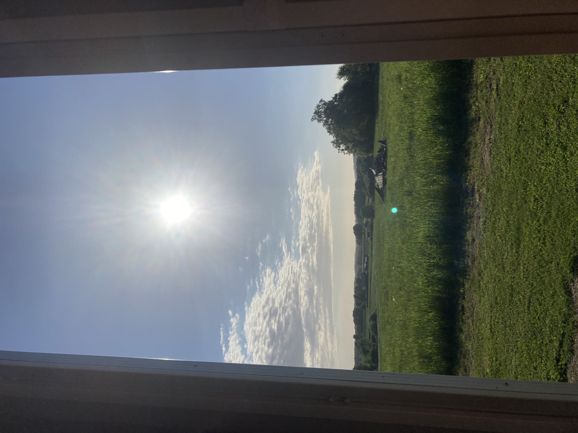 The image displays a rural landscape in Vessigebro, Sweden, viewed through a structural opening, likely a window or doorway, framed by vertical wooden elements on both the left and right sides. The left frame is lighter in tone, exposing wood grain and fasteners, while the right frame is darker and broader.
The sky occupies the upper half of the frame. The sun, a brilliant white orb, is positioned high center-left, emitting strong lens flares and rays across the blue sky. Below the sun, a band of white stratocumulus clouds extends horizontally from the left to the center-right, with scattered smaller clouds visible. The horizon line, marked by a distant hazy band, shows faint contours of land and clustered trees, suggesting a populated rural area in the background.
The lower half of the image is dominated by a vast green field. The immediate foreground features shorter, darker green grass. Further into the mid-ground, the field transitions to taller, lighter green crops or grass, exhibiting distinct texture due to illumination. A prominent pile of dark, irregularly shaped debris, possibly wood or metal remnants, is situated within the taller field section, slightly right of the vertical center. Behind this debris and to the right, a dense cluster of deciduous trees stands tall. Two distinct cyan-colored lens flares are visible in the lower field, one in the lower-left quadrant and another smaller one near the debris pile.
No human figures or discernible activity are present. The scene depicts a static, brightly lit outdoor environment.