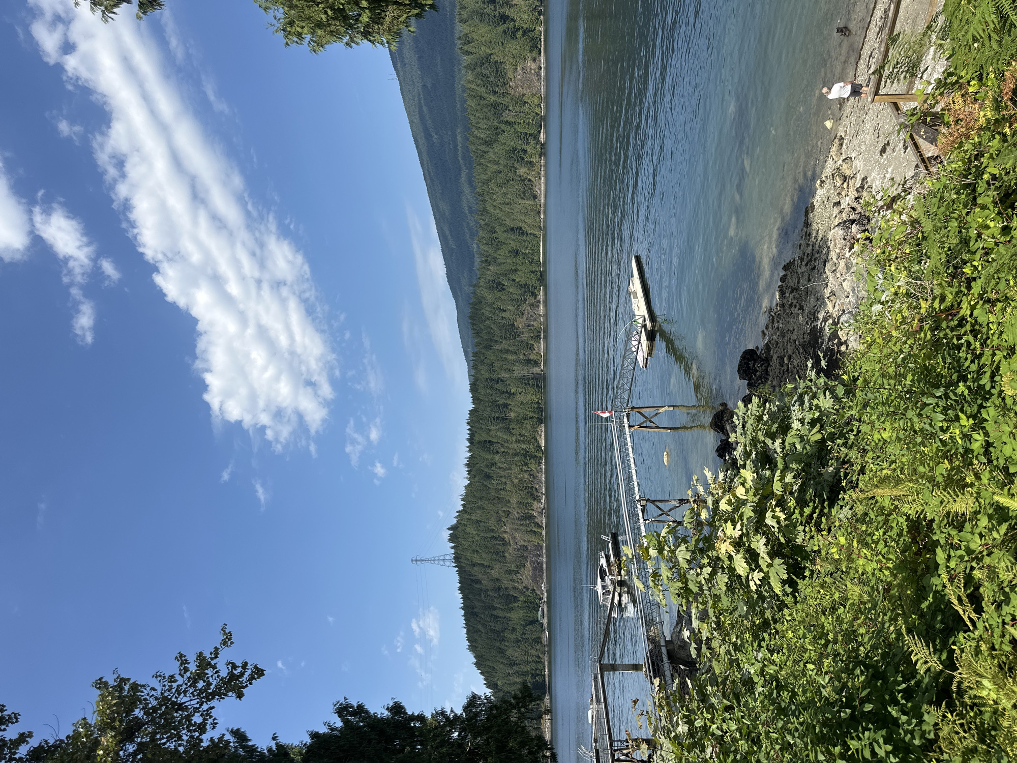The image depicts a serene lakeside scene in Belcarra, Canada, under a bright blue sky dotted with scattered white clouds. In the foreground, lush green foliage and ferns frame the view of a calm body of water. Two metal docks extend into the water, with a couple of boats moored alongside one of them. A small Canadian flag flies from one of the docks.
Across the water, a densely forested hillside rises, with a prominent power line tower visible on its summit. The hillside meets the water's edge, creating a natural boundary. In the lower right of the image, a person in a white t-shirt and dark shorts stands on a gravelly shoreline, interacting with a dark-colored dog. The dog appears to be in the shallow water. A wooden railing and steps are visible near the shoreline. The water itself is clear, revealing the rocky bottom in shallower areas.