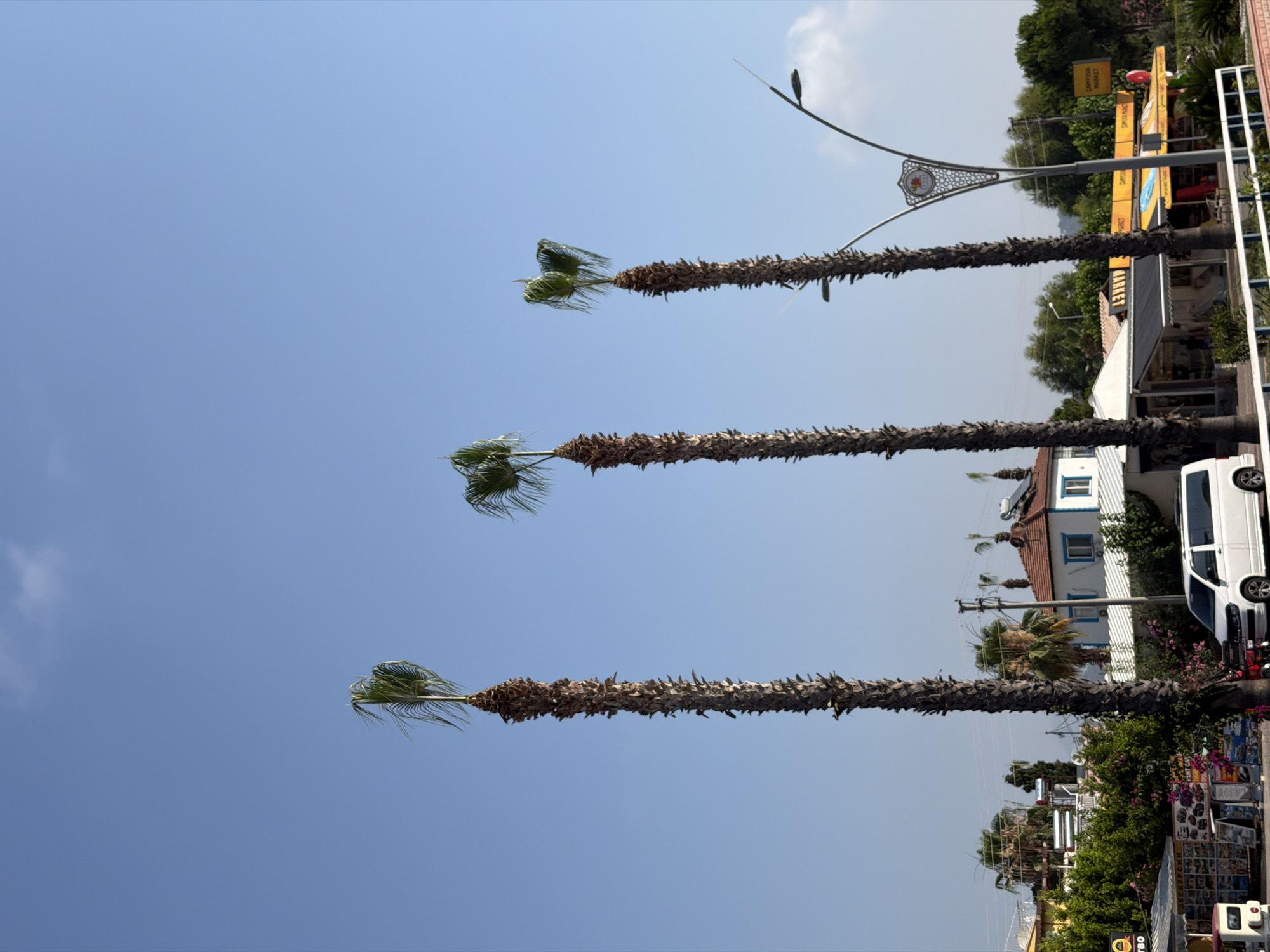 The image depicts a street scene in Kemer, Turkey, under a clear blue sky. Three tall, slender palm trees dominate the foreground, their rough, textured trunks rising towards the sky. The palm trees are positioned at varying distances, with the leftmost and middle trees closest to the viewer and the rightmost tree slightly further back.
In the middle ground, a white van is parked on the side of the road. To the right of the van, a street lamp with an ornate decorative element is visible. Behind the van and the street lamp, several low-rise buildings with terracotta roofs and white walls are situated. Some of these buildings appear to be shops or commercial establishments, with awnings and signage. A yellow sign that reads "HAPPYHOUR MARKET" is prominently displayed on one of the buildings. Lush green trees and foliage are scattered throughout the scene, adding a touch of nature to the urban environment. The overall impression is one of a sunny day in a resort town.