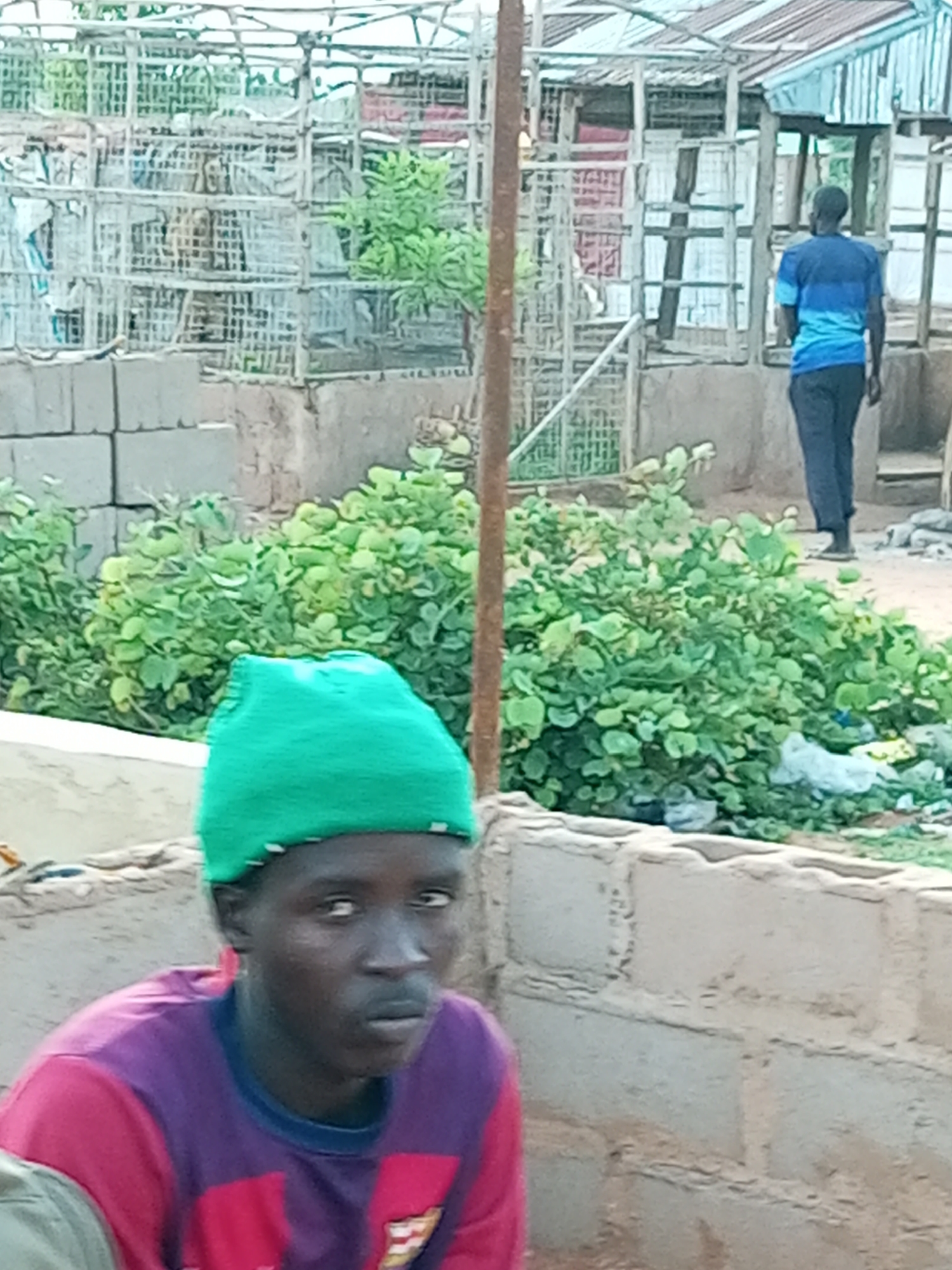 The image depicts an outdoor scene in Gombe, Nigeria. In the foreground, a young person wearing a green cap and a red and purple shirt is seated. Their gaze is directed slightly to the right. Behind them, a person in a blue and dark blue striped t-shirt and dark pants stands, facing away from the camera. In the background, there are structures that appear to be shelters or enclosures, constructed with metal frames and roofing materials. Vegetation, consisting of green bushes, is visible throughout the scene. The ground appears to be dirt. There are also stacked blocks and some debris. The overall impression is of a rural or informal settlement environment.