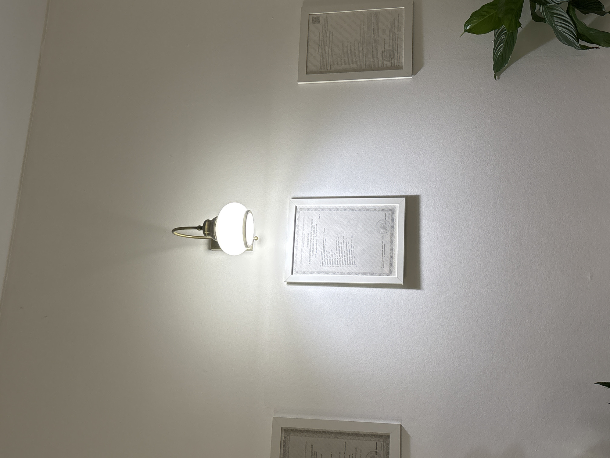 The scene depicts an interior wall in Romanovka, Russia. A wall-mounted light fixture, featuring a brass-colored metal arm and a white spherical glass shade, is centered in the upper half of the image, casting illumination downwards onto a light-colored, textured wall. Three white-framed documents are displayed on the wall. The central framed document, positioned below the light, prominently displays text in Cyrillic script, with the legible title "ПРИЛОЖЕНИЕ К РЕГИСТРАЦИОННОМУ УДОСТОВЕРЕНИЮ НА МЕДИЦИНСКОЕ ИЗДЕЛИЕ" (APPENDIX TO THE REGISTRATION CERTIFICATE FOR A MEDICAL DEVICE). A similar, less defined framed document is partially visible to the left, and another is to the right. In the lower right corner, a portion of a green plant with large leaves is visible. No individuals are present, and no actions are depicted. The environment suggests an indoor, possibly professional or administrative setting.