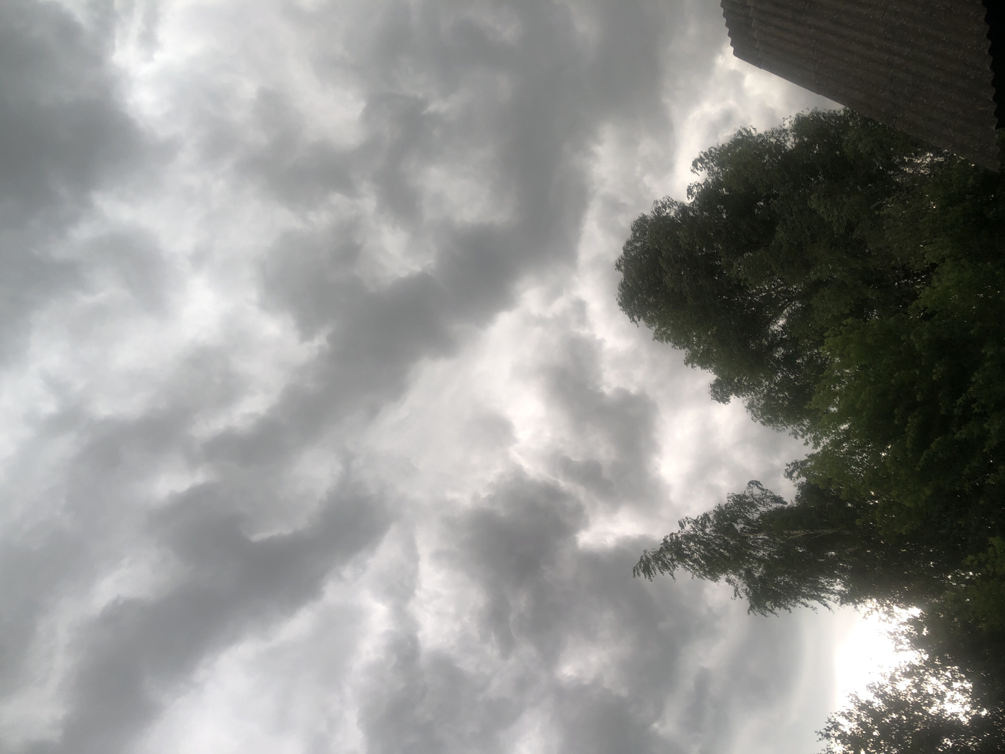 This image captures an outdoor scene in Khmilnytsia, Ukraine, dominated by a heavy, overcast sky filled with dark grey and lighter grey storm clouds. The clouds appear dense and turbulent, indicative of impending or recent inclement weather. In the lower half of the frame, a dense line of trees is visible. On the left, a tall, slender tree with light-colored bark, possibly a birch, has its upper foliage noticeably pushed to the right, suggesting strong wind. Below and to the left of this tree, a bright flare indicates a strong light source, likely the sun, partially obscured by clouds and tree branches. Across the mid-ground and right, a dense canopy of darker green deciduous trees exhibits similar signs of wind-induced movement. In the lower right corner, a segment of a dark, corrugated roof, likely made of asbestos cement (slate), is visible, angled upwards. No people or specific human activities are depicted.