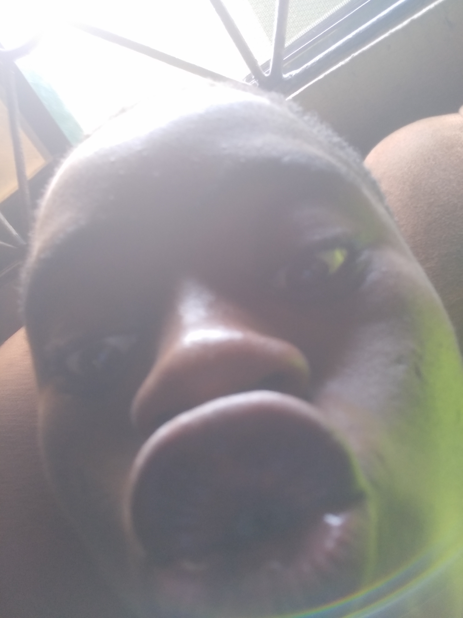 A close-up selfie of a person with dark skin, likely male, with lips pursed. The image is brightly lit and appears to be taken indoors, possibly near a window, as a frame-like structure can be seen in the background. There is a strong light source above, causing significant lens flare and overexposure. The location, Shangisha, Nigeria, cannot be definitively determined from the visual information.