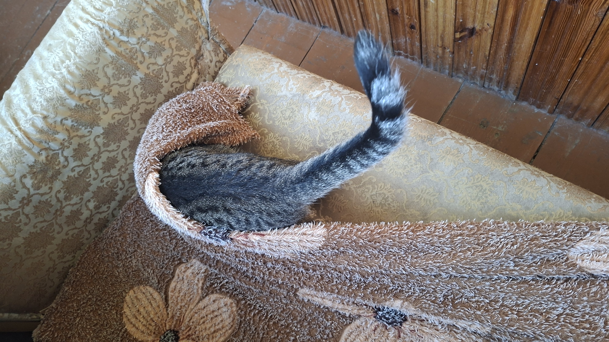A tabby cat is partially obscured by a fuzzy brown blanket, with only its hindquarters and tail visible. The cat's tail, which has distinct black and gray stripes, is curled to the right. The blanket is draped over what appears to be a cushioned piece of furniture with a pale gold, damask-like pattern. The furniture is placed on a wooden floor, with planks running horizontally in the lower right portion of the image. The overall setting appears to be indoors, possibly a living room or a couch in a home located in Забалоцкі сельскі Савет, Belarus.
