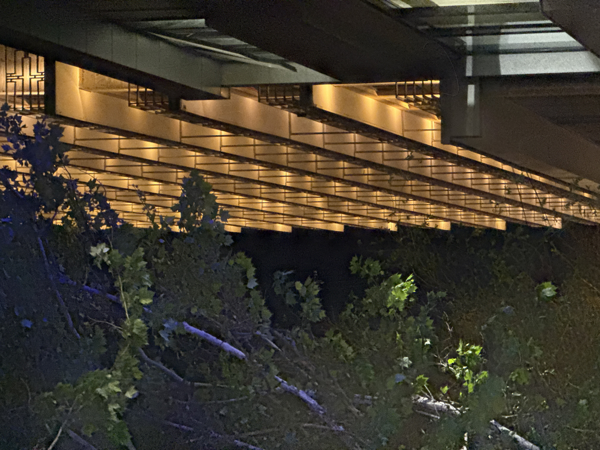 At night, the image depicts the underside of a bridge or elevated structure in Yerevan, Armenia, with dense foliage obscuring the ground beneath. The structure features a recurring pattern of horizontal beams illuminated by warm, golden lights. The foliage consists of various green shrubs and trees, with some branches appearing broken or fallen.