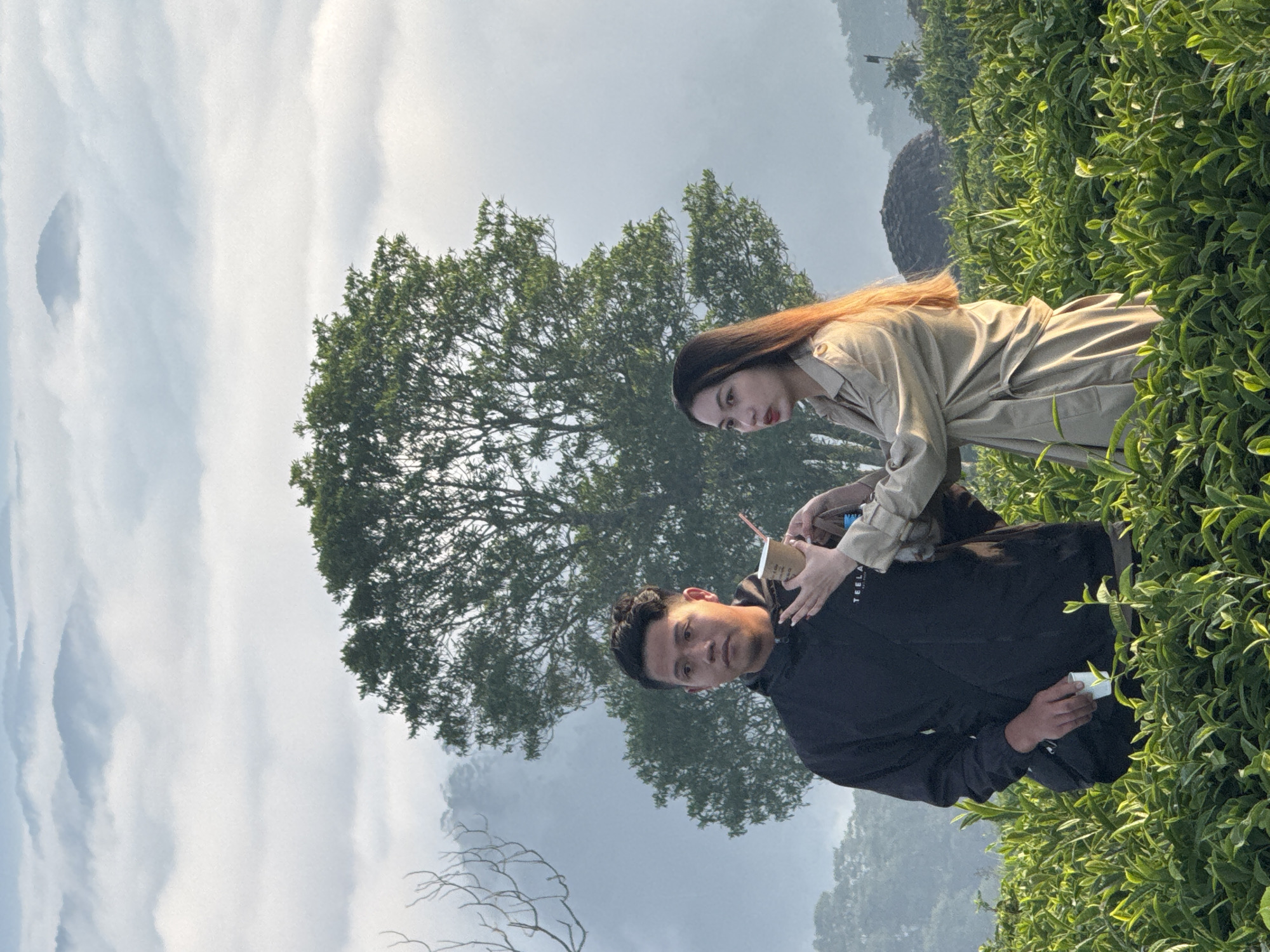 The image depicts a serene landscape in Phát Chi, Vietnam, characterized by rolling hills partially obscured by a thick blanket of mist or clouds. In the foreground, a lush green tea plantation stretches out, with neat rows of tea bushes.
Two individuals are the central subjects. A young man, wearing a black jacket with a white logo on the chest, stands facing slightly left. Beside him, a young woman, dressed in a beige trench coat, is interacting with him. She is holding a disposable coffee cup with a straw and appears to be offering it to the man, or perhaps taking a sip herself. Her posture suggests a casual and intimate interaction.
Behind the couple, a large, mature tree with dense foliage stands prominently, its branches reaching towards the sky. The background is dominated by the atmospheric misty hills, creating a sense of depth and tranquility. The lighting suggests it is either early morning or late afternoon, with soft light illuminating the scene. A conical structure, possibly a traditional dwelling or storage unit, is visible in the far right background, partially covered by foliage. The overall impression is one of natural beauty and a moment of peaceful shared experience amidst the Vietnamese countryside.
