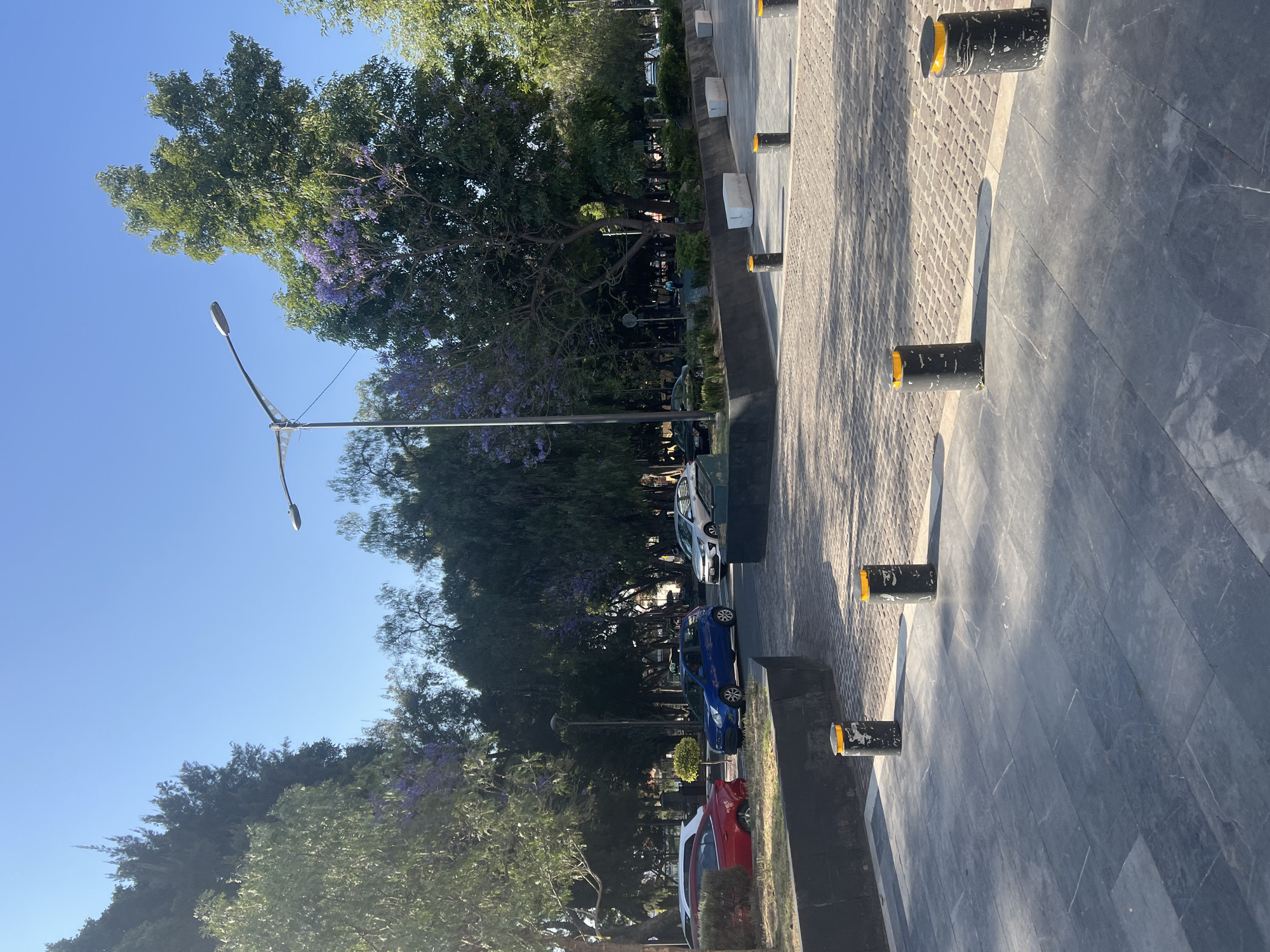 The image depicts a street scene in Puebla, Mexico. A row of cylindrical bollards with yellow tops lines the right side of the frame, marking the edge of a gray tiled walkway. Beyond the walkway, a street lined with parked cars is visible, including a red car, a blue car, and a white car. Trees with purple blossoms are on the left, lining the street. A tall street light is situated among the trees. The sky is clear and blue.