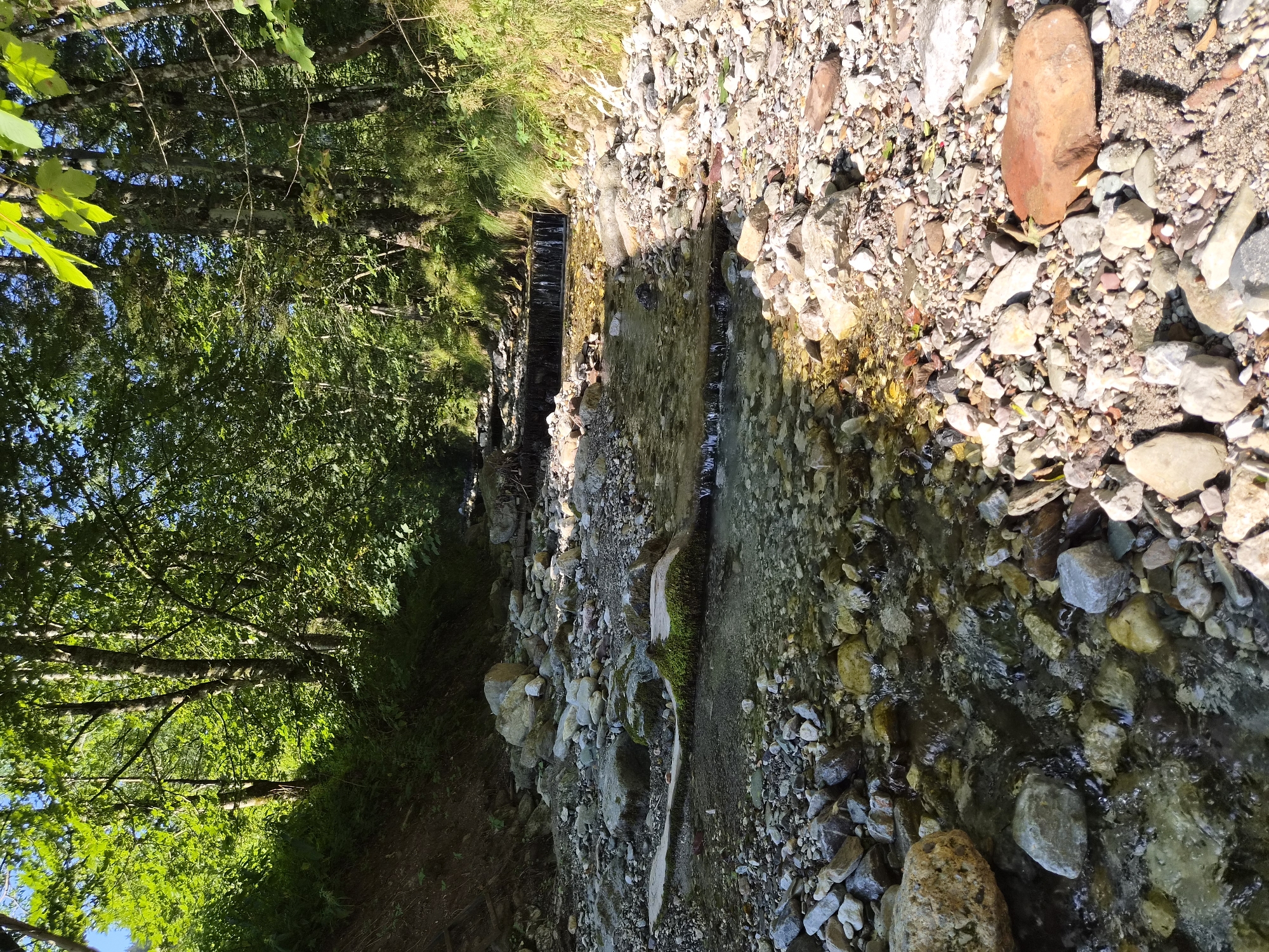 The image depicts a shallow, rocky stream flowing through a wooded area. The stream bed is filled with a variety of stones and pebbles, with clear water flowing over them. There are small cascades or drops in the stream. Lush green trees and foliage line the banks of the stream, with sunlight filtering through the leaves. The overall impression is one of a natural, untouched environment.
It is not possible to determine the specific location within Eisenerz, Austria, based solely on this image.