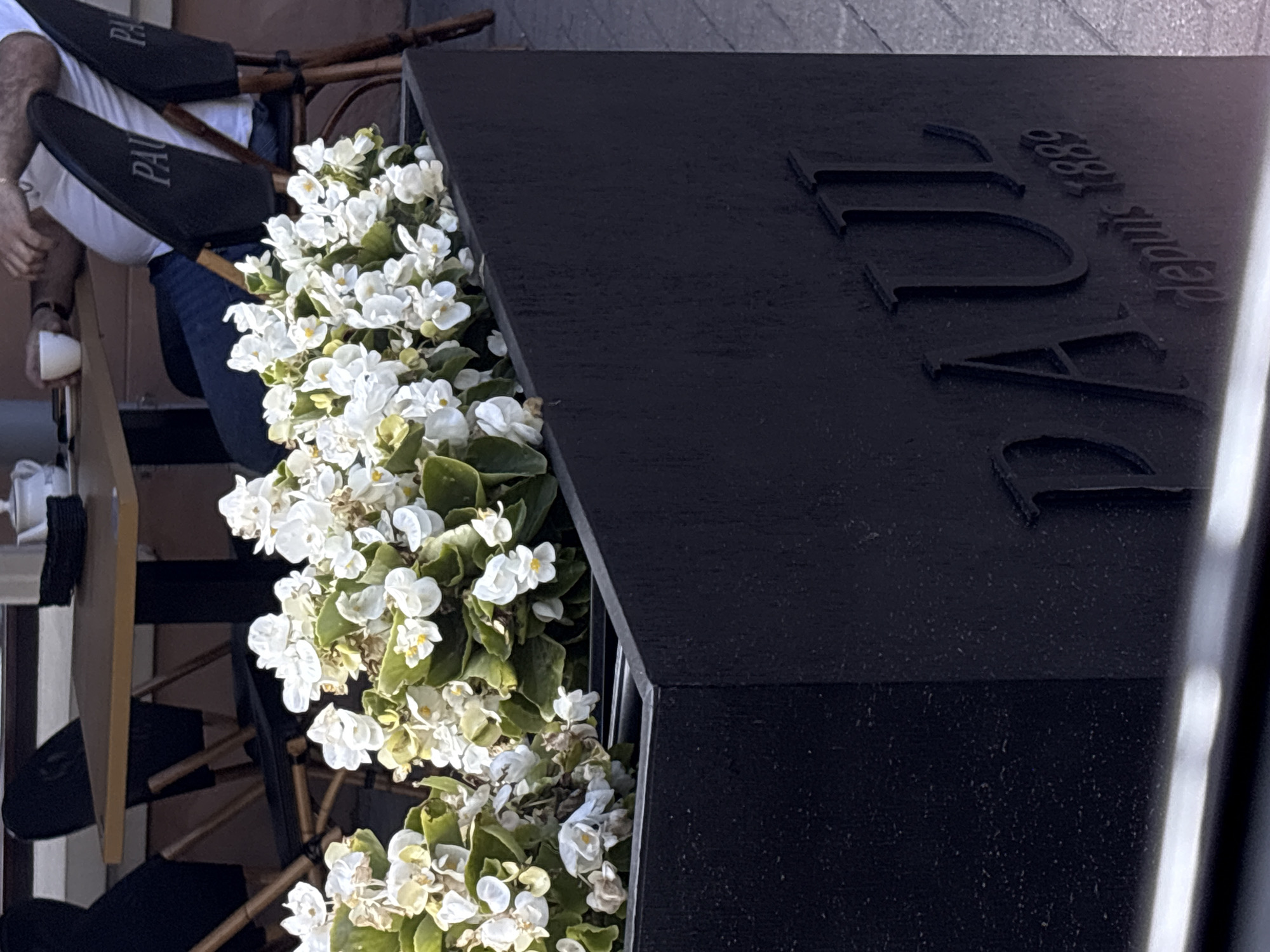 The image shows a close-up of a black structure with raised lettering and a planter box filled with white flowers and green foliage. The lettering on the structure appears to read "PAUL" and "Depuis 1889". The scene is outdoors, possibly a cafe or restaurant, given the context of Minsk, Belarus, and the presence of outdoor seating visible in the background, including chairs and a table.
The focus is on the textured surface of the black structure and the vibrant white flowers. The lighting suggests it might be daytime, though the exact time of day is not definitively clear. The overall impression is one of an establishment with a historical element, indicated by the "Depuis 1889" text, and an emphasis on aesthetics with the floral display. There are no people clearly visible in the immediate foreground, but the setting implies a place where people would be. The mood is calm and orderly, with the focus on the details of the architecture and the plants.
