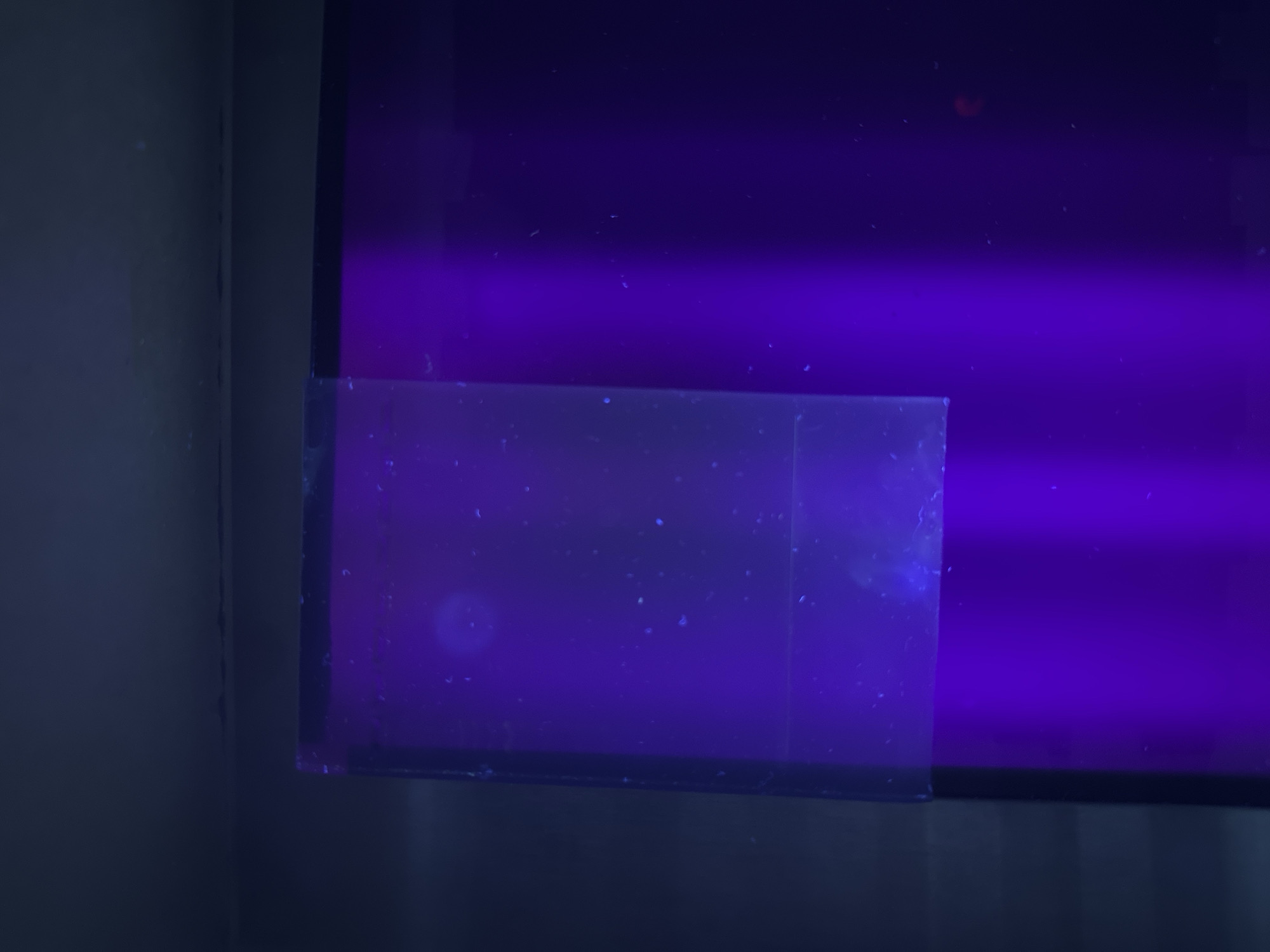The image displays a dark, flat, rectangular surface, possibly a screen or pane of glass, illuminated by a strong, uniform deep purple light, characteristic of ultraviolet (UV) illumination. The lighting creates a vibrant glowing effect across the surface, with a subtle horizontal gradient in brightness, being somewhat brighter towards the center.
Numerous small, bright, light-colored particles, likely dust or other contaminants, are scattered across the entire glowing surface. These particles appear to fluoresce under the UV light, appearing as tiny blue-white dots against the purple background.
In the lower-left section of the main surface, a rectangular piece of translucent material, possibly adhesive film or tape, is affixed. This material also glows under the UV light and shows a similar scattering of fluorescing particles, indicating its presence and interaction with the UV light. There are also a few larger, more diffuse glowing spots, particularly on this translucent section and in the upper right.
To the far left of the main glowing surface, a dark, textured wall or corner is visible, suggesting an indoor setting. The overall scene is dark, implying a controlled lighting environment where the UV light is the primary illumination source. No specific activities, people, or text are visible. The image appears to be a still observation of how materials react under UV light.