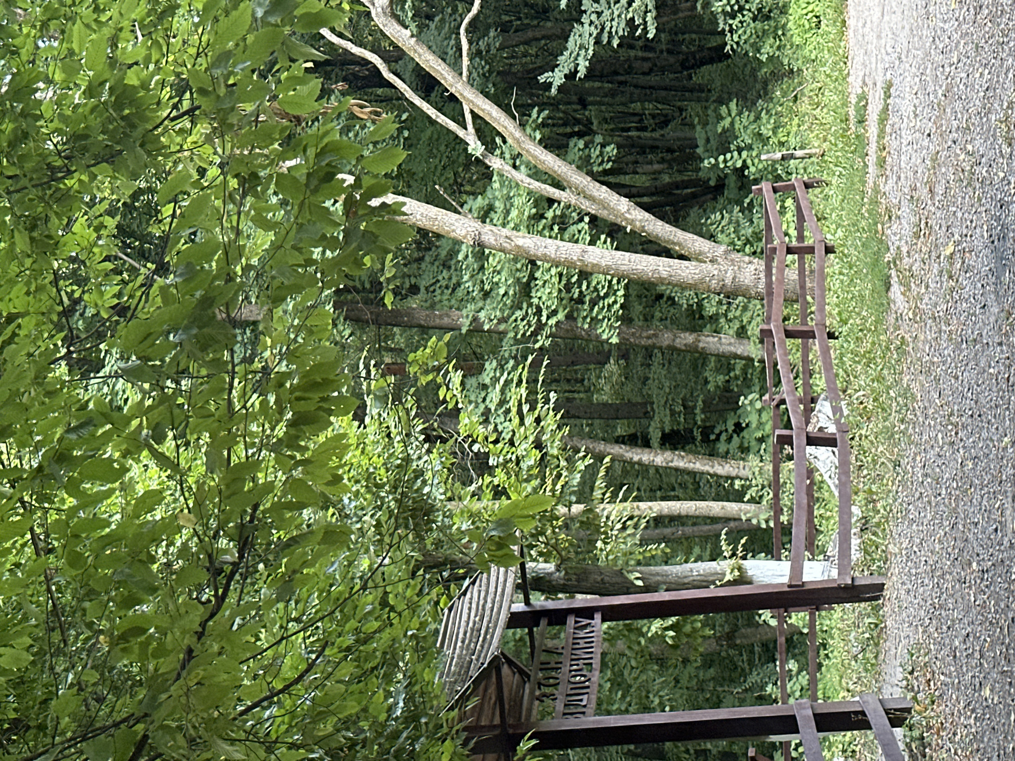 The image shows an outdoor scene in Shatava, Ukraine, likely a park or natural area. In the foreground, a gravel path leads to a wooden structure with a sloped roof, resembling a shelter or information point. This structure has metal supports and a sign with Cyrillic writing. A low wooden fence encloses a grassy area to the right of the path. The background is dominated by dense, green foliage and trees, suggesting a forest or wooded environment. The lighting indicates it is daytime, with dappled sunlight filtering through the leaves. There are no people visible in the image.