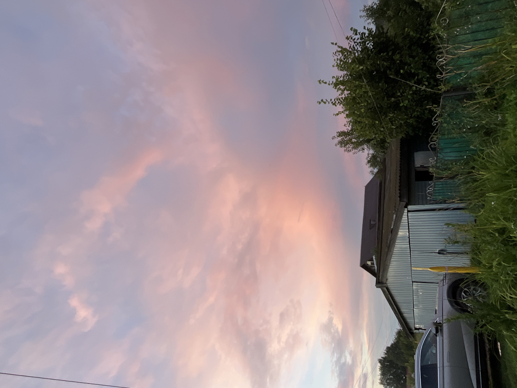 The image captures a twilight scene in Bolshoy Gondyr, Russia. The sky is filled with soft pink and purple clouds, indicative of sunset or sunrise. In the foreground, a silver SUV is parked to the left. Adjacent to the vehicle is a corrugated metal structure, possibly a garage or shed, with a dark-colored roof visible behind it. A green metal fence with decorative scrollwork runs along the front of the property, partially obscured by tall green grass. Dense foliage and trees are present on the right side of the image, with power lines visible against the sky. No people are present in the scene.