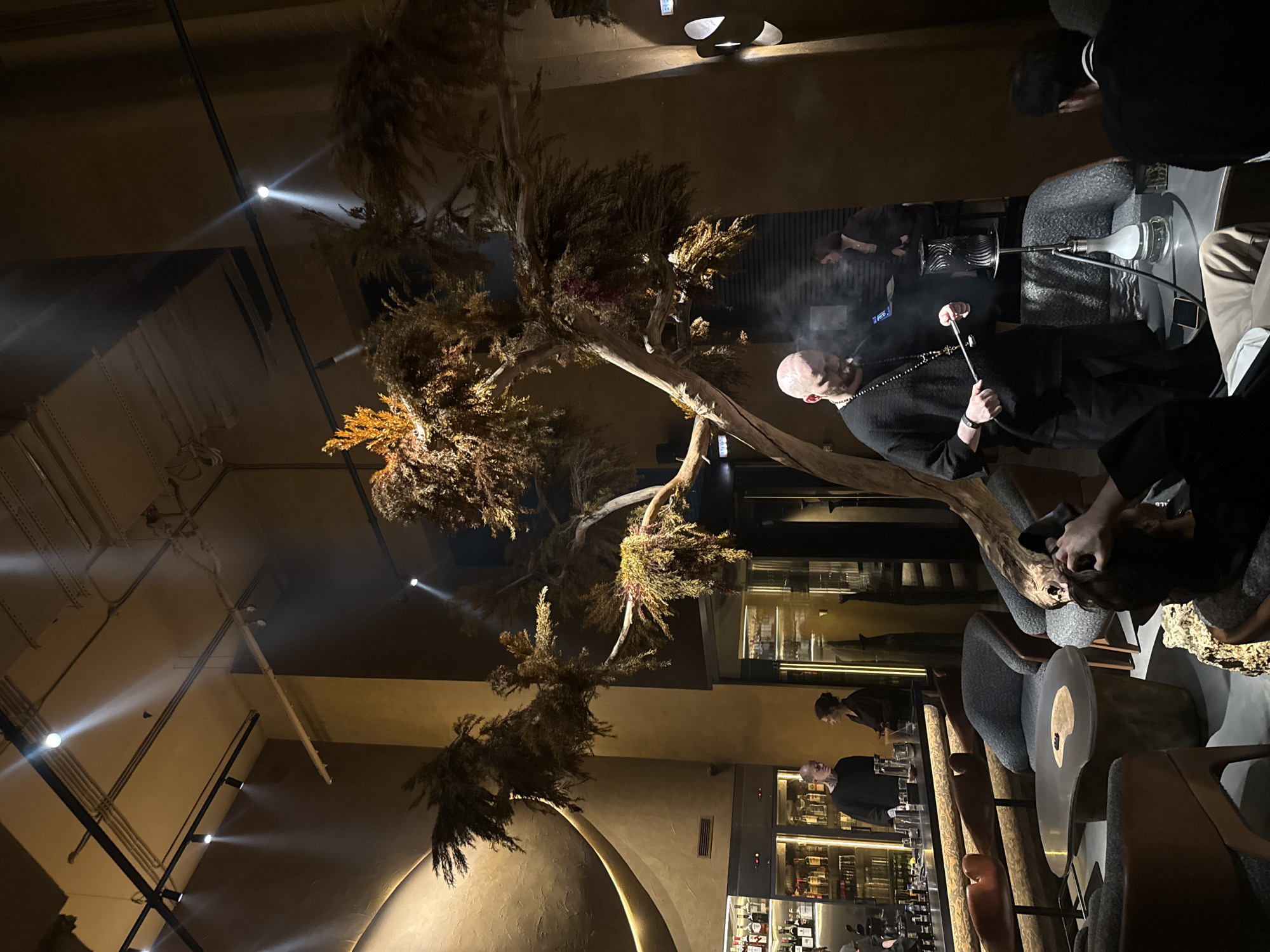A low-angle indoor shot reveals a bar or lounge setting in Khimki, Russia. The space features a large decorative tree structure dominating the scene, extending from the lower left towards the upper right, its branches adorned with foliage. Track lighting on the ceiling casts light across the scene.
Several people are present. One bald man in a black top is smoking a hookah, with smoke visibly emanating. Other individuals are seated or standing around tables and chairs.
The interior design includes a bar area stocked with bottles, and the furnishings consist of unique chair designs and tables. The overall ambience suggests a dimly lit, upscale establishment.