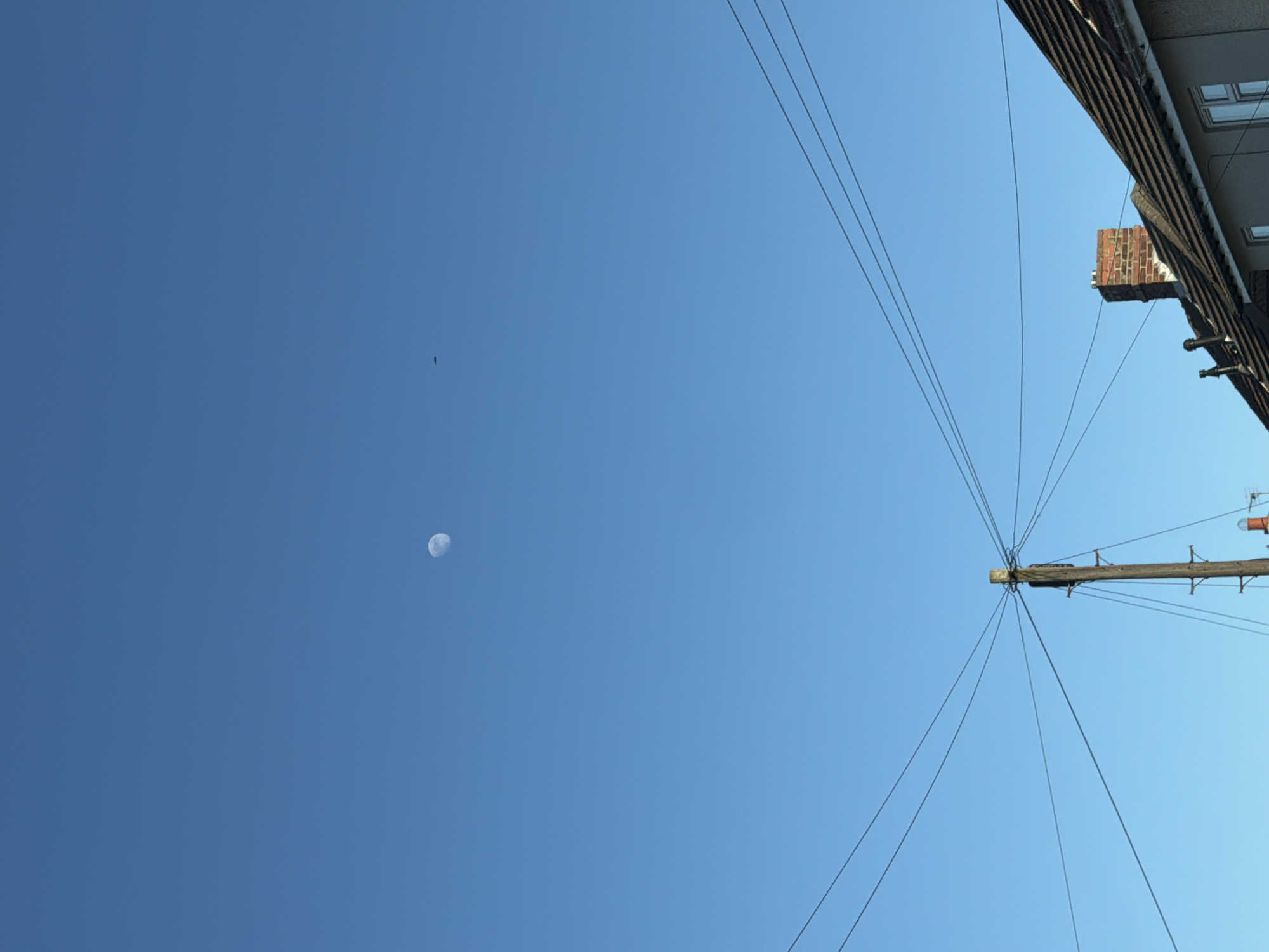 An upward-angled shot reveals a clear blue daytime sky in Bearpark, United Kingdom. The most prominent celestial feature is a visible moon, appearing as a bright, partially illuminated orb, likely in a crescent or gibbous phase. To the upper left of the moon, a small, dark object, possibly a bird, is visible in flight against the expansive blue.
On the right side of the frame, several man-made structures are present. A wooden utility pole's crossarm is visible, from which numerous black wires extend and crisscross, fanning out across the sky. The top edge of a building or roofline is also captured on the far right, featuring dark, ridged eaves and what appears to be a brick structure, possibly a chimney, protruding outwards. Some windows are also visible on the building. The overall impression is a sunny day in an urban or semi-urban environment, capturing an interesting juxtaposition of natural celestial elements and human infrastructure. There is no visible text in the image.