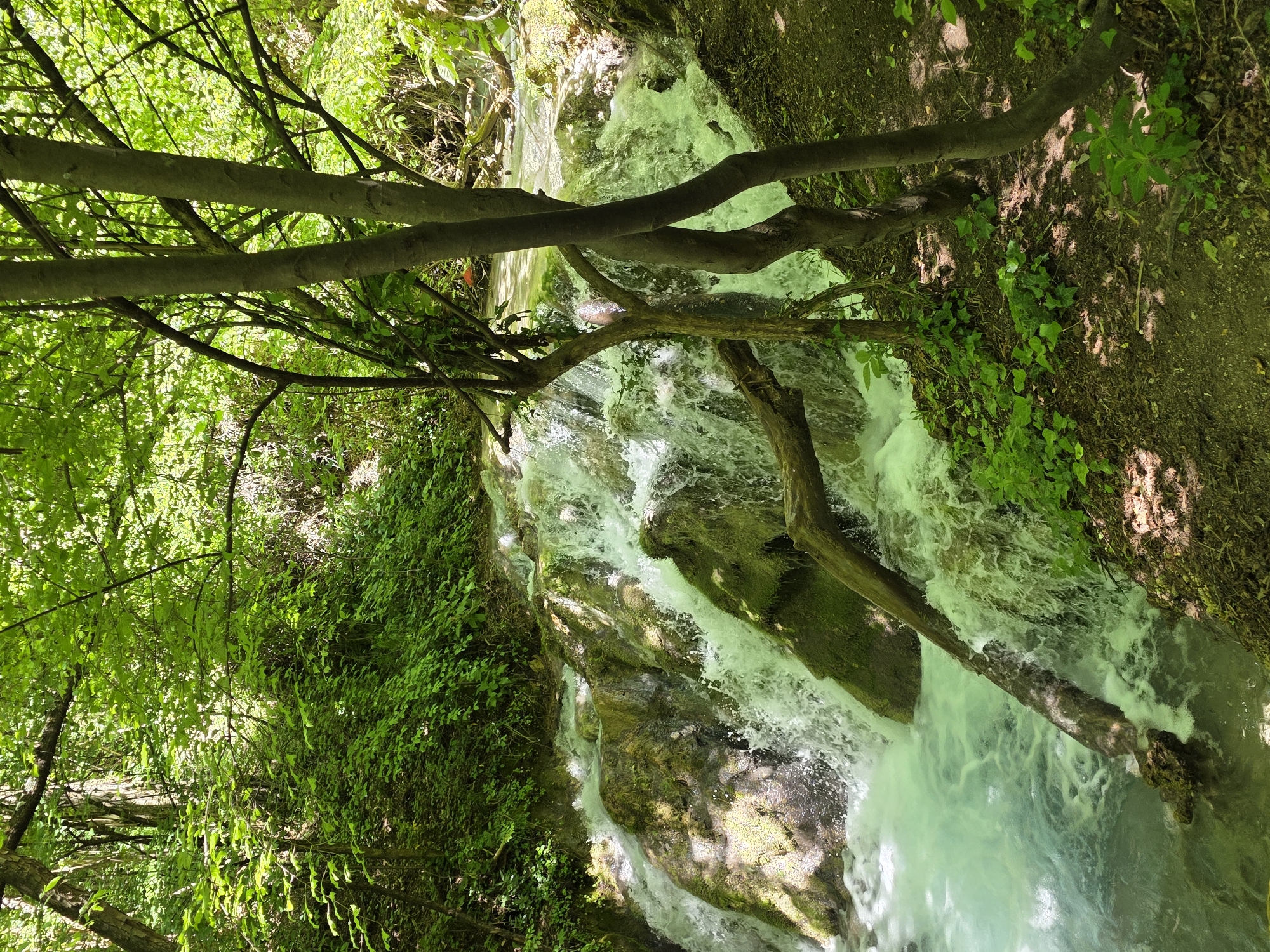 A low-angle, medium shot depicts a stream of clear water cascading over moss-covered rocks and into a pool below. Trees and abundant green vegetation surround the stream, which appears to be located in a forest or wooded area. The image is of Bachkovo Falls in Bulgaria.