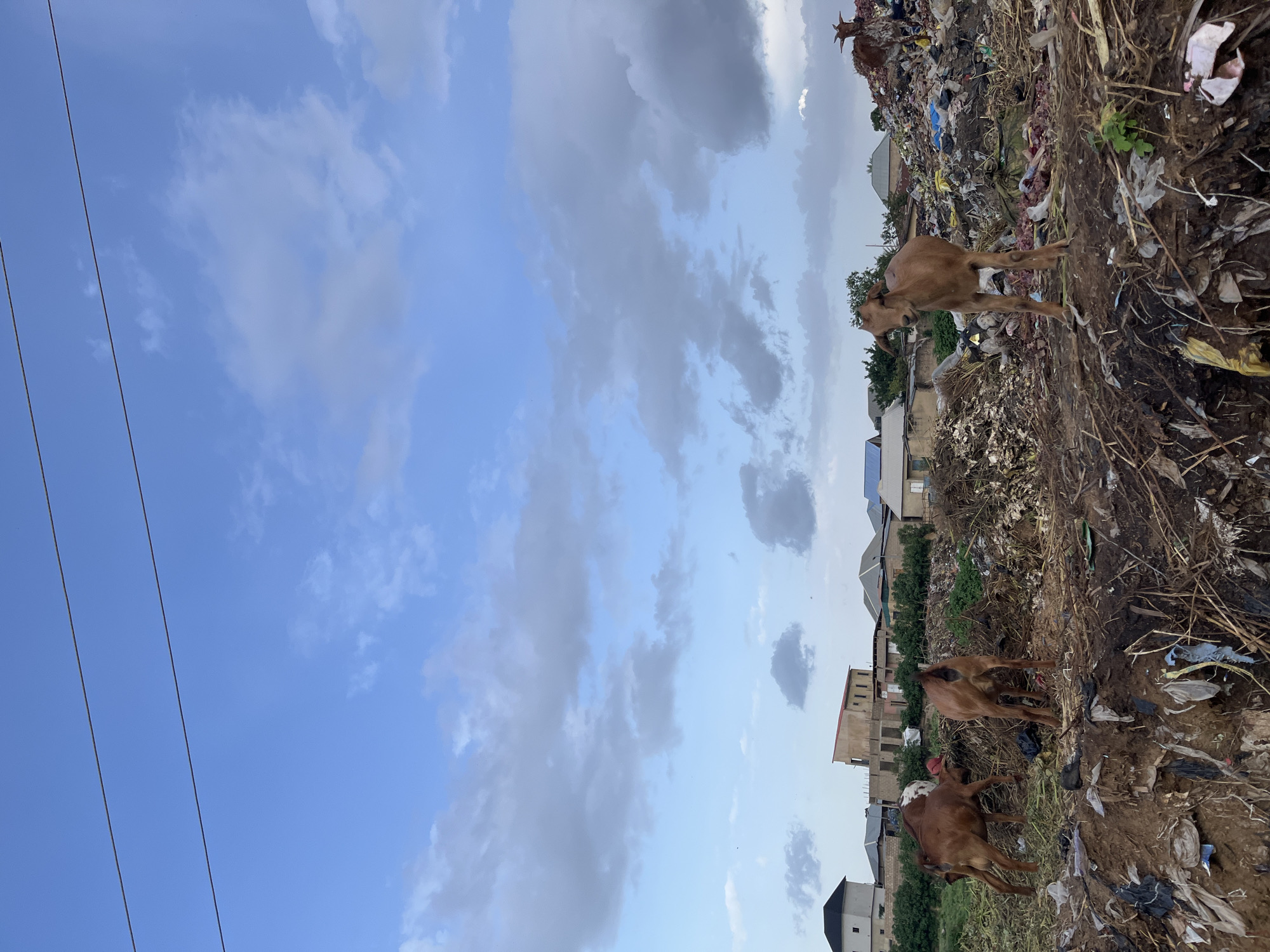 The image depicts a landfill site in Rafin Par, Nigeria, with several goats present. The landfill is a large mound of refuse, including plastic bags, debris, and organic waste. In the foreground, three brown goats are visible, with one standing and two grazing. In the background, a pile of trash rises higher, with another goat visible near the top. Buildings and vegetation are seen behind the landfill, suggesting a semi-urban or rural setting. The sky above is a mix of blue and white clouds. Power lines are visible in the upper portion of the image.
