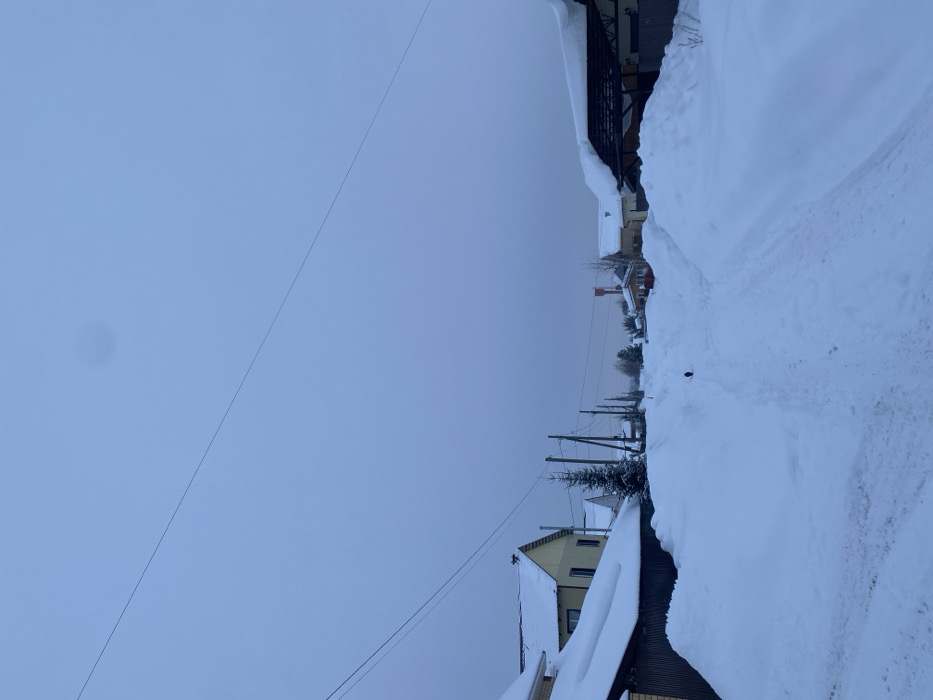 This image depicts a snow-covered residential street in Мокино, Russia, under an overcast, uniformly grey-blue sky. The unpaved street is heavily blanketed with snow, featuring a narrow, cleared path centrally, flanked by high snowbanks.
On the left side of the street, a two-story house with light-colored siding and a snow-covered gabled roof is partially visible behind a lower dark-paneled structure, also with a snow-laden roof. A small, snow-dusted coniferous tree stands between these structures and the road. Multiple dark utility poles with overhead wires recede along the left side of the street.
On the right, a structure with an open framework roof, heavily laden with snow, extends towards the street. Further down the street, additional single-story residential buildings with snow-covered roofs are visible. A red and white water tower stands prominently in the mid-distance on the right.
A small, dark, indistinct object, likely an animal, is visible on the central snow path, moving away from the viewer. The overall scene conveys a quiet, cold, winter environment with soft, diffused light and minimal shadows.