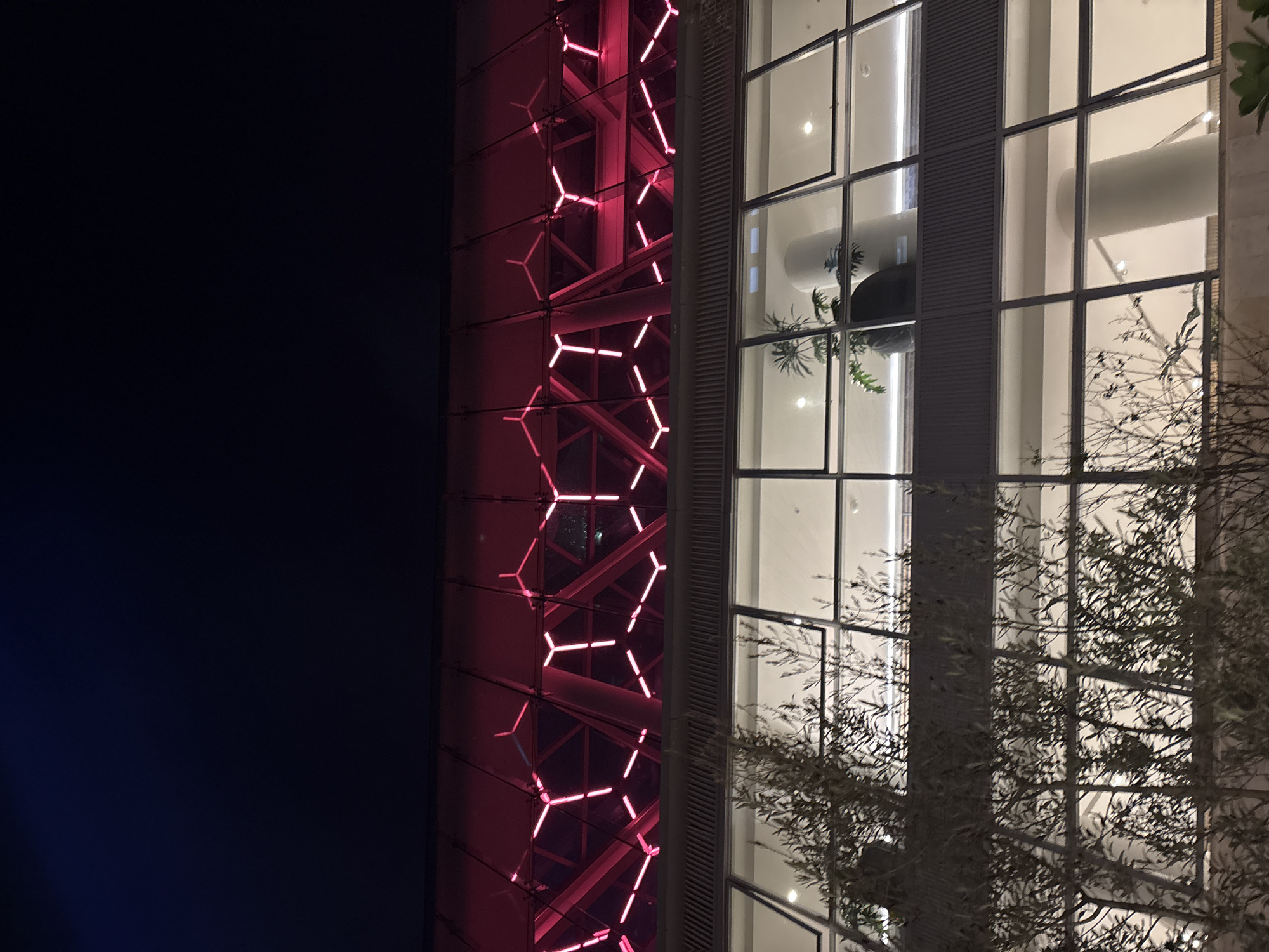 The image shows a low-angle view of a modern building at night. The building has two distinct sections: one covered in a grid of red hexagonal lights and the other with large, multi-paned windows reflecting the interior lighting. A tree with sparse foliage partially obscures the windows on the right side of the image. The left side of the image is a dark, navy blue, likely representing the night sky. The photograph might be located in Mexico City, Mexico, as requested.