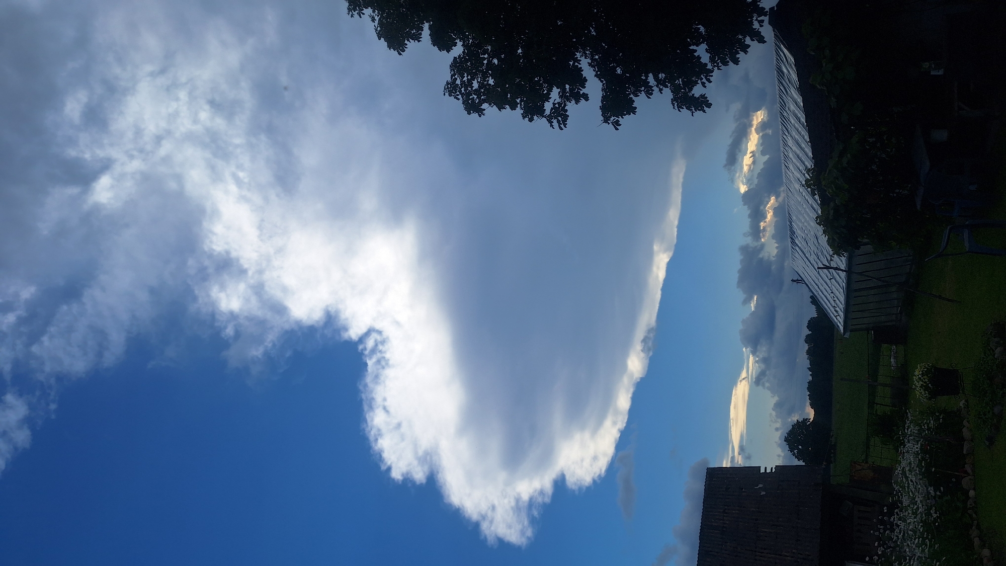 A wide-angle, vertical, outdoor, daytime, landscape photograph shows a rural scene in an unknown location in Latvia. The sky dominates the frame, featuring a large, dramatic cumulonimbus cloud formation in the upper left, with the lower portion of the cloud appearing bright white and the upper portion a darker gray. To the right, a silhouetted tree with dense foliage is visible against the lighter sky. Below the cloud formation, a body of water is partially visible, reflecting the sky. In the foreground, a low-lying greenhouse with a translucent, corrugated roof is situated on the right side of the image. To the left of the greenhouse, a dark, weathered structure with a corrugated roof is partially visible. The area between these structures is a grassy yard, with some low-lying plants and flowers in the lower left corner. A dark silhouette of trees can be seen in the distance. The lighting suggests it is late afternoon or early evening, with a dramatic interplay of light and shadow.