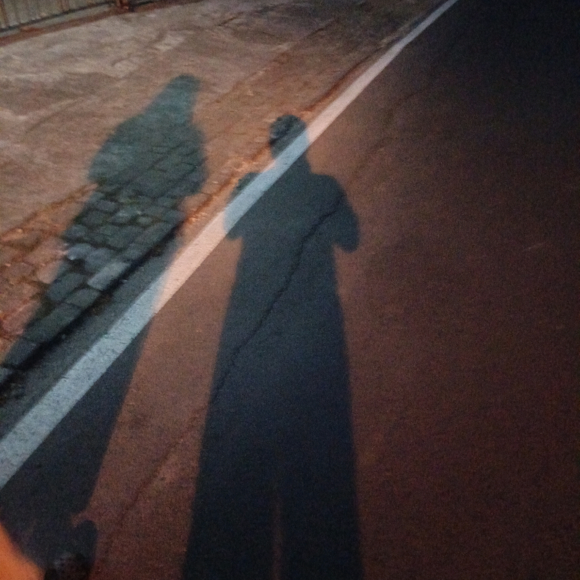 The image depicts two distinct shadows cast on a road with a white dividing line. The shadow on the left, falling on a cobblestone-like surface, appears to be that of a bird, possibly a pigeon, due to its rounded body and discernible head shape. The shadow on the right, cast on the asphalt road, is elongated and human-like, suggesting a person standing. The overall lighting indicates it might be dusk or dawn, with a warm, reddish hue present on the asphalt. The scene is likely a street in Salatiga, Indonesia, given the context.