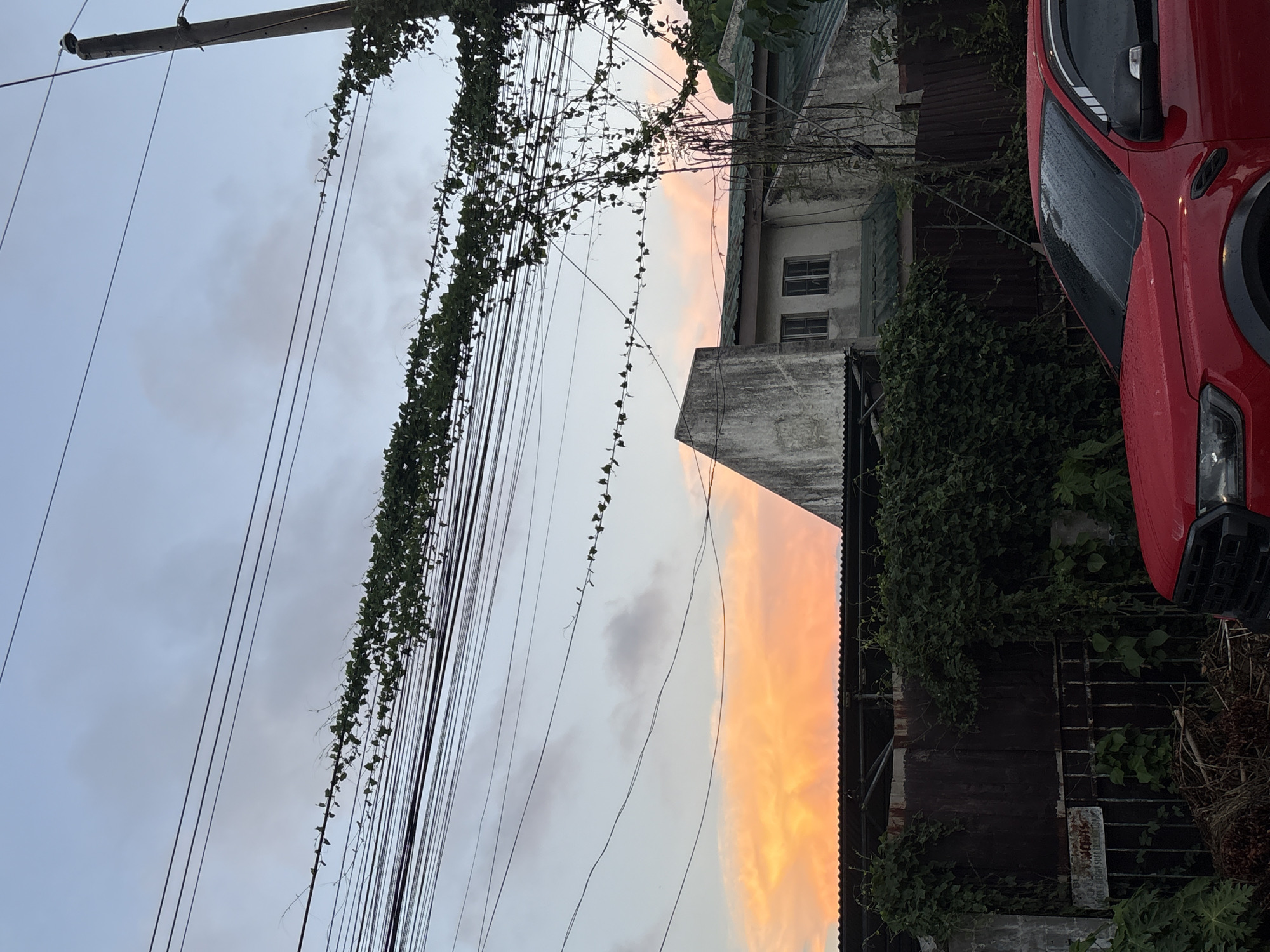 The image depicts a residential street in Davao City, Philippines, during either dawn or dusk, as indicated by the soft orange hues in the sky. A red pickup truck is partially visible in the foreground, with its windshield showing streaks of rain, suggesting recent precipitation. Overhead, multiple power lines are strung across the frame, with vines growing along some of them. Behind the power lines and vines, a two-story building with a slanted green roof and weathered concrete facade is visible. The building has two small, rectangular windows on its upper level. In front of the building is a dark, weathered wooden fence, partially obscured by dense green foliage and vines. A metal gate with a sign is also present in front of the fence. The overall scene suggests a somewhat overgrown and lived-in urban environment.