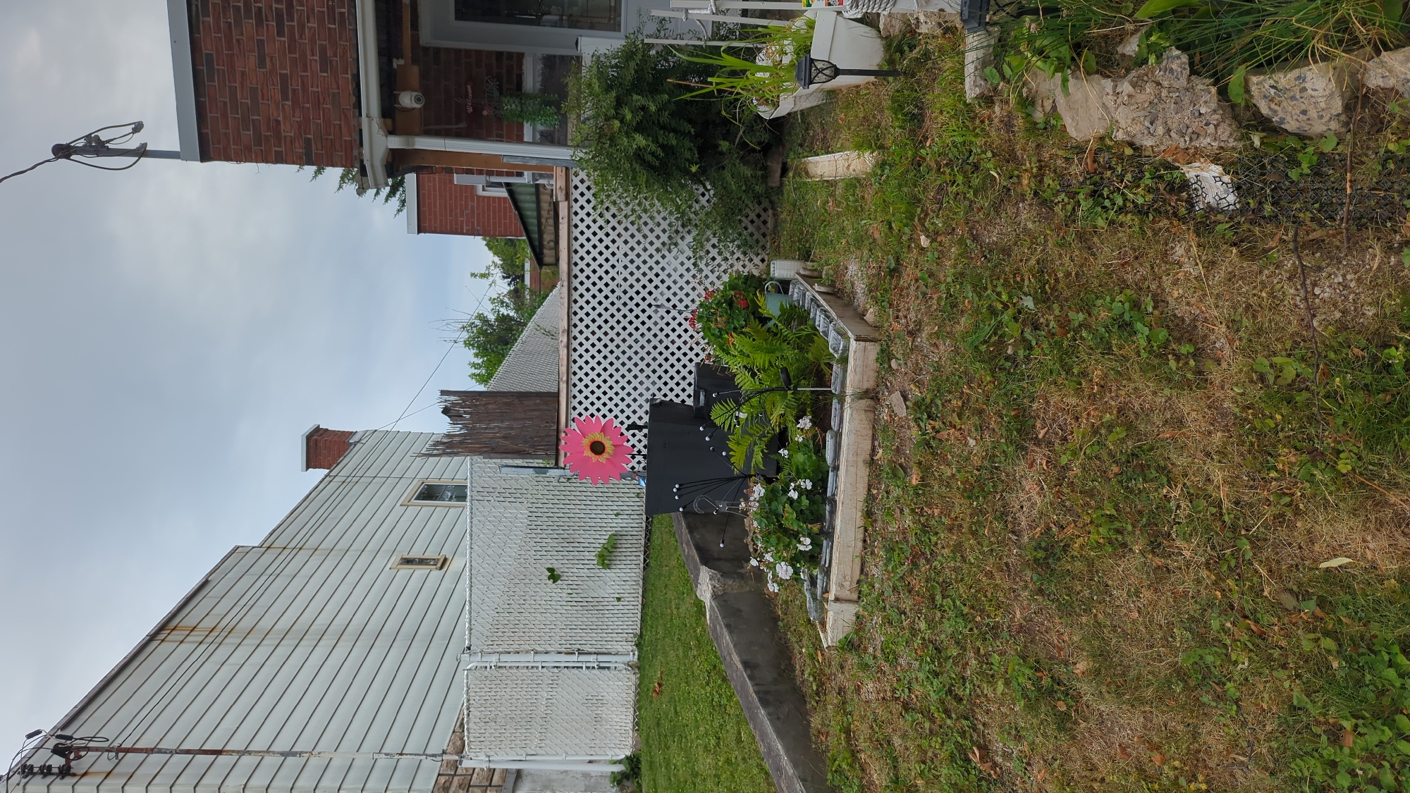 This image depicts a backyard area in Montreal, Canada, featuring a small raised garden bed. The garden bed contains a variety of plants, including ferns and small white flowers. A large, pink and yellow decorative flower stands behind the garden. A black planter with decorative wire accents is also present. In the background, a white lattice fence separates this yard from a neighboring property. The surrounding environment includes patchy grass, some concrete structures, and parts of houses. The sky is overcast.