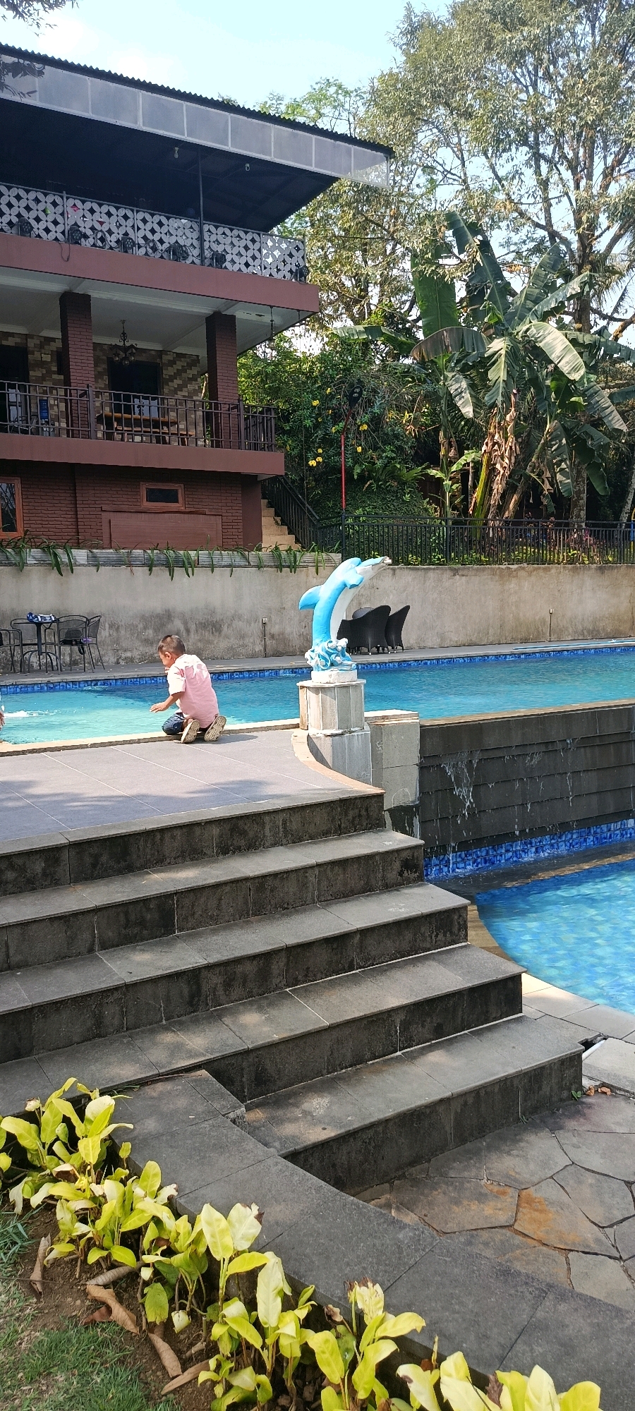 In Megamendung, Indonesia, a young boy in a pink shirt is crouched at the edge of a swimming pool, looking down into the water. The pool is bright blue with a tiled border. To the right of the boy, a light blue dolphin statue stands on a pedestal, with water cascading down a dark tiled wall behind it. In the background, a multi-story building with a dark roof and brown brick facade is visible. Lush green trees and foliage surround the building and pool area, suggesting a tropical or sub-tropical environment. The scene is illuminated by sunlight, casting shadows on the stone steps leading down to the pool.