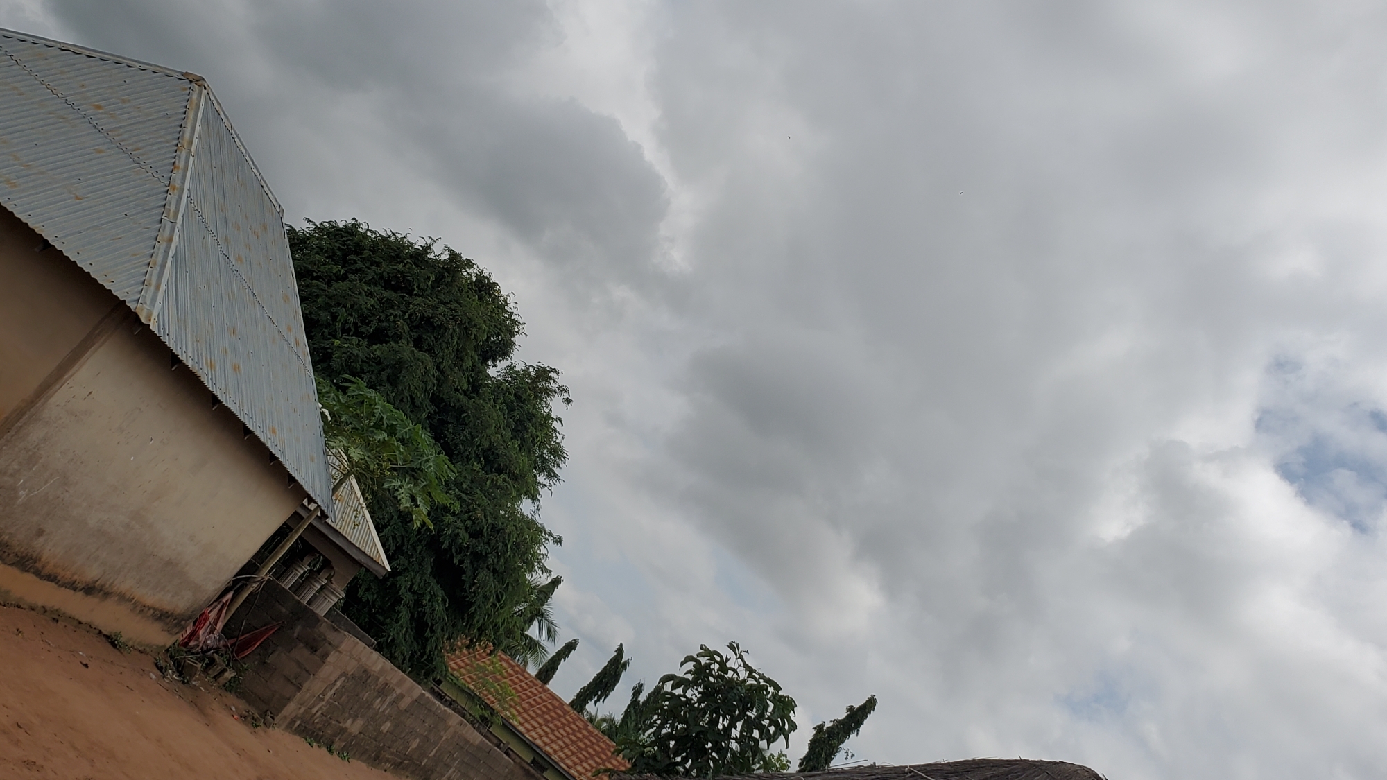 An overcast sky looms over a residential area in Jalingo, Nigeria. The image is dominated by gray, heavy clouds, with only a hint of blue sky visible in the upper right portion. In the foreground, a corrugated metal roof of a building is visible, angled towards the right. To the right of this building, lush green foliage from large trees obscures parts of the scene. Several other structures with tiled roofs are partially visible in the mid-ground and background, suggesting a densely populated residential neighborhood. The ground appears to be a reddish-brown earth. The perspective is from a low angle, looking upwards towards the sky.