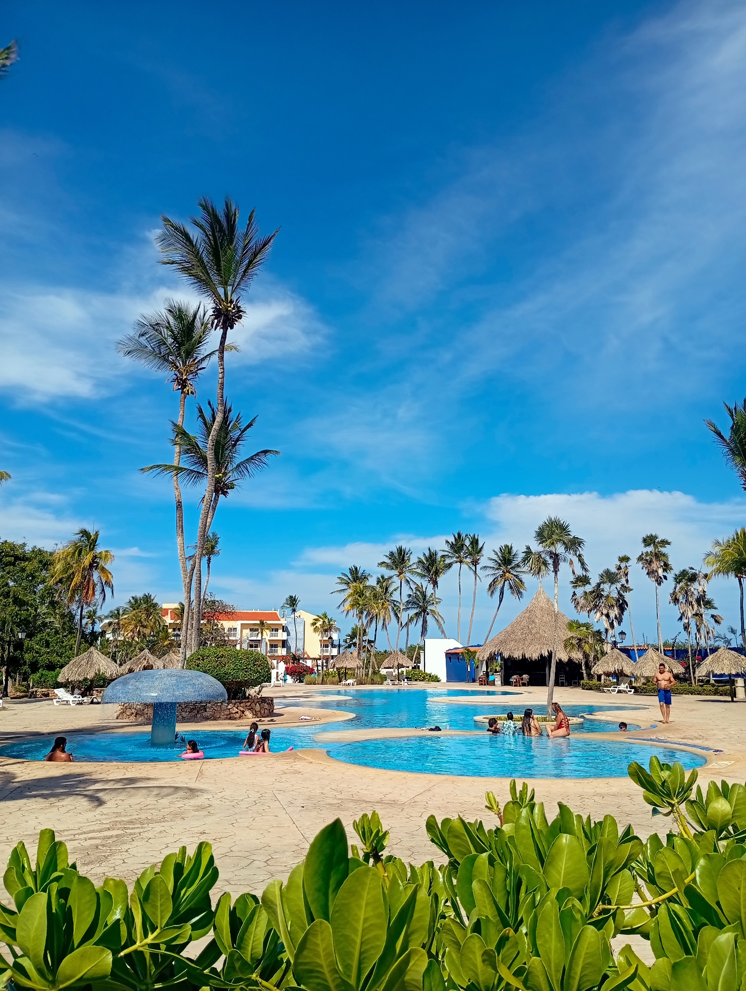 The image depicts a sunny day at a resort in what appears to be a tropical location. A multi-level, organically shaped swimming pool is the central subject, populated with several people of various ages swimming and interacting. The pool area is surrounded by palm trees and several thatched-roof structures, suggestive of a bar or seating area. In the background, a multi-story building is visible. Lush green plants occupy the foreground. The sky is a bright blue with scattered clouds. The exact location in the city of Playa El Agua, Venezuela is unclear, as the name of the resort or any specific landmarks are not visible.