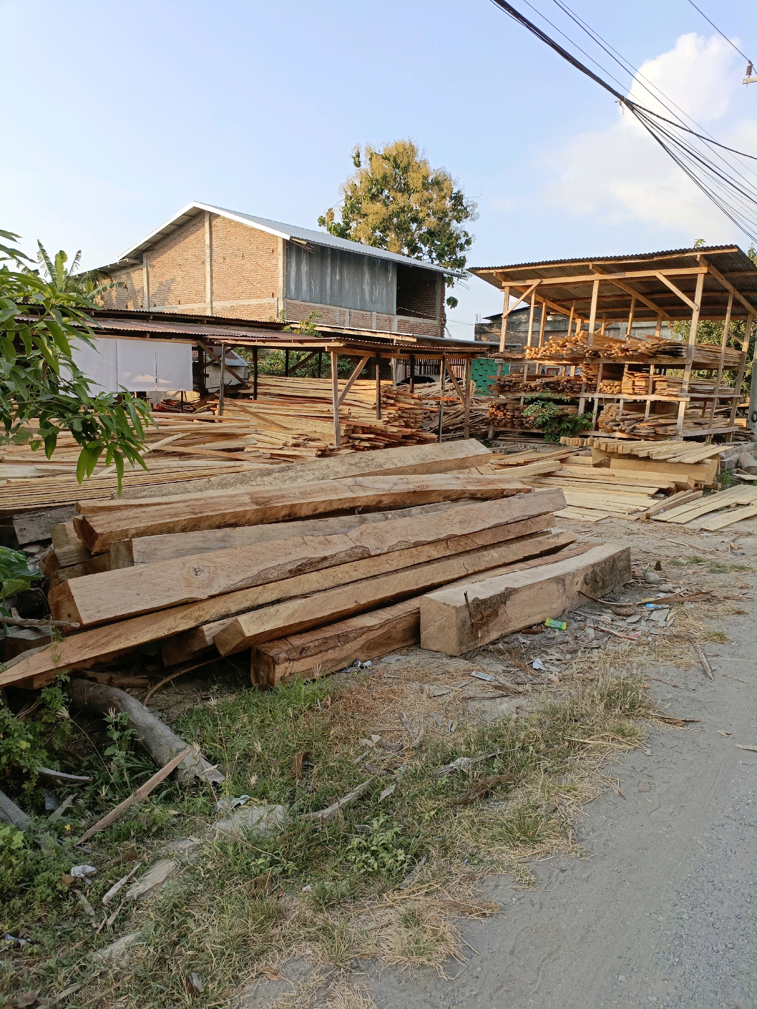 The image depicts an outdoor scene at a lumber yard, possibly in Bulukumba, Indonesia, given the context. In the foreground, a stack of large, rough-cut wooden beams is prominently displayed. These beams vary in size and shape, with some showing the natural contours of the wood. Behind these beams, more lumber is visible, arranged in stacks and piles.
To the left, a building with a brick facade and a corrugated metal roof is partially visible, suggesting it might be a workshop or storage facility. Adjacent to it, a smaller, open-sided structure with a similar metal roof is supported by wooden posts, serving as shelter for neatly stacked lumber. This structure also contains rows of sawn timber, organized by size.
The ground surface is a mix of dirt, gravel, and dry grass, with some scattered debris, including plastic waste and small pieces of wood. Green foliage and tree branches are present on the left side of the image, adding a natural element to the industrial setting. Overhead, power lines crisscross the clear blue sky, indicating the presence of nearby infrastructure. The overall lighting suggests it is either early morning or late afternoon, with the sun casting soft shadows. No people are visible in the image.