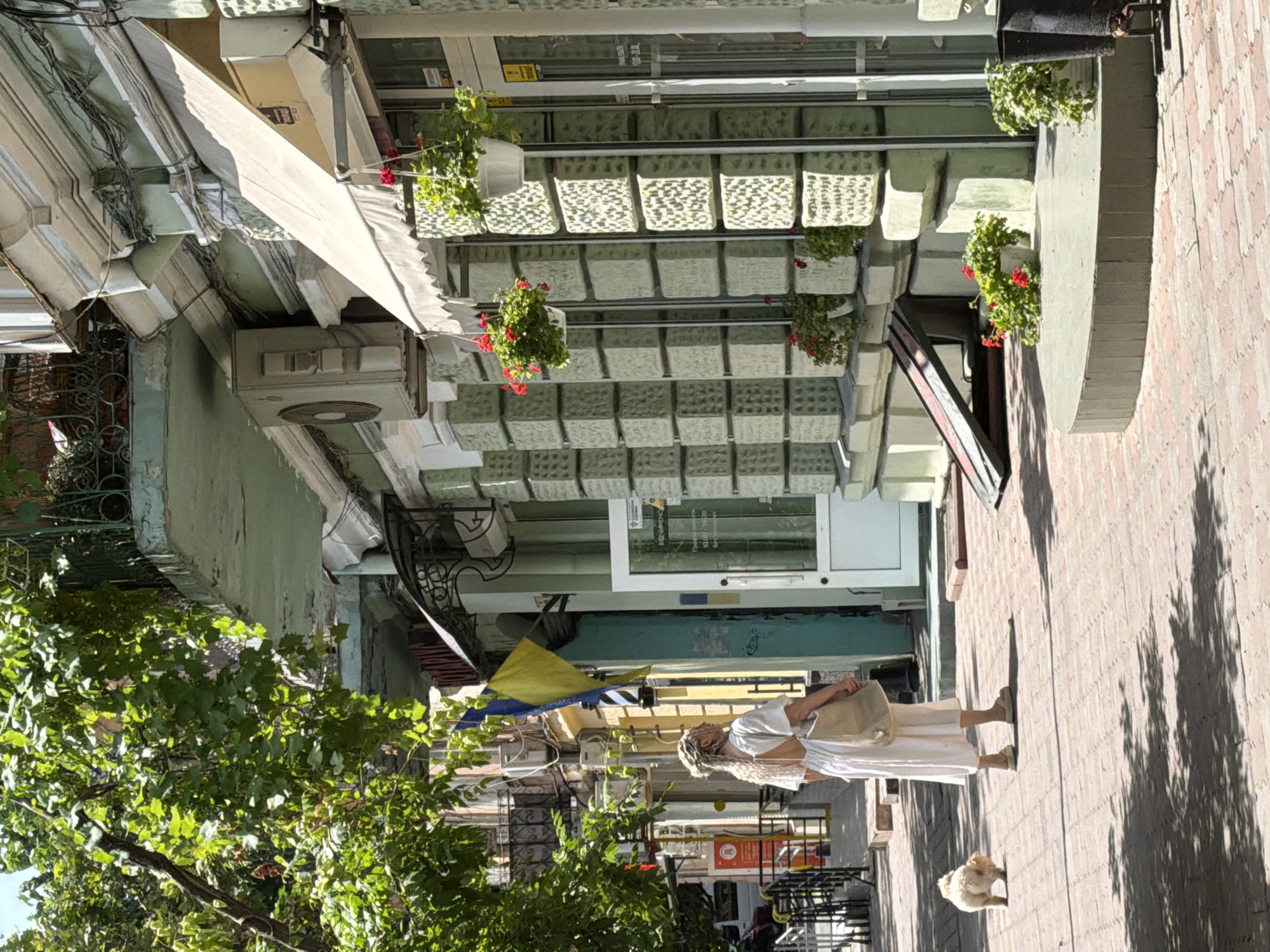 The image depicts a woman with blonde hair styled in braids, wearing a white dress with an open back and carrying a light-colored tote bag. She is standing on a brick sidewalk in front of a building with a pale green facade. A small, fluffy light-colored dog stands near her on the sidewalk. The building features a light-colored awning over a shop window, with hanging baskets of red flowers above. The architecture includes decorative elements on the facade, possibly made of stone blocks. The scene appears to be on a street in Odesa, Ukraine, as suggested by the presence of a Ukrainian flag (blue and yellow) hanging from a pole on the building to the left of the awning. The sun casts shadows on the sidewalk, indicating it is daytime. The background shows more of the urban environment with trees and other buildings.