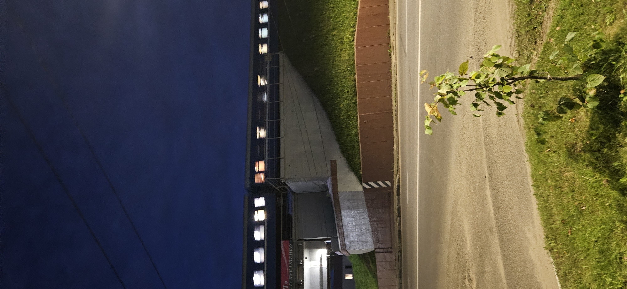 The image captures a nighttime scene in Vitebsk, Belarus, likely near a transportation hub. A train is in motion, its windows blurred by speed, illuminated by interior lights, with some windows showing warmer orange tones and others cool white. The train is passing over an elevated structure with a concrete embankment, grass on the slope, and a brown retaining wall along the road. A thin, young tree stands in the foreground on the grassy verge beside the road, its leaves illuminated by streetlights. The sky is a deep blue, suggesting it's twilight or early night, and faint power lines are visible against it. Part of a building with signage is visible on the left side of the frame, with bright lights indicating it's operational. The road itself appears empty of vehicles. The overall atmosphere is one of urban transit at dusk.