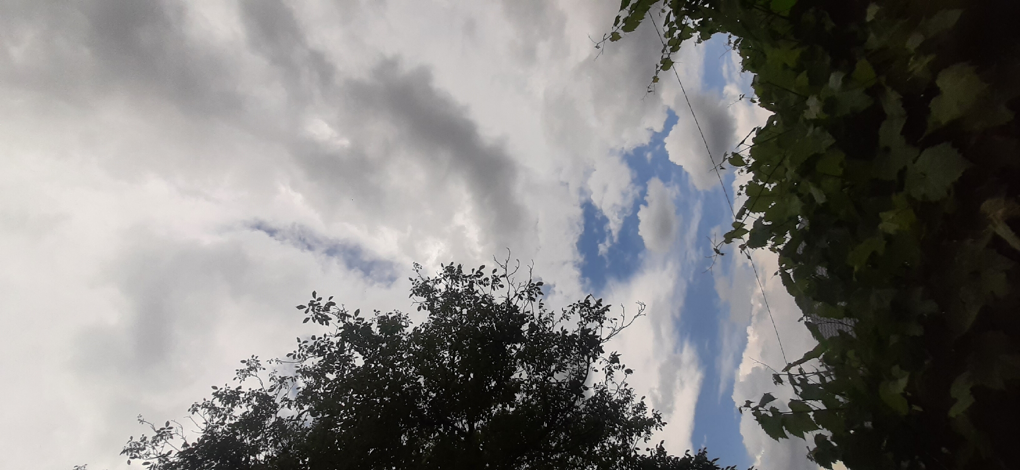 This is a low-angle, wide shot of a cloudy sky with glimpses of blue sky visible through breaks in the clouds. Silhouettes of dark green foliage, likely from trees and vines, frame the top and bottom edges of the image, suggesting an outdoor setting. The clouds appear to be a mix of light gray and white, with some darker, denser formations. The light suggests it is daytime, but the cloudy conditions could indicate an overcast or partly cloudy day. There are no people or visible text. The overall mood is somewhat subdued due to the clouds, but the hints of blue sky offer a sense of openness. The location context of Yessentukskaya, Russia, provides a general geographical setting.